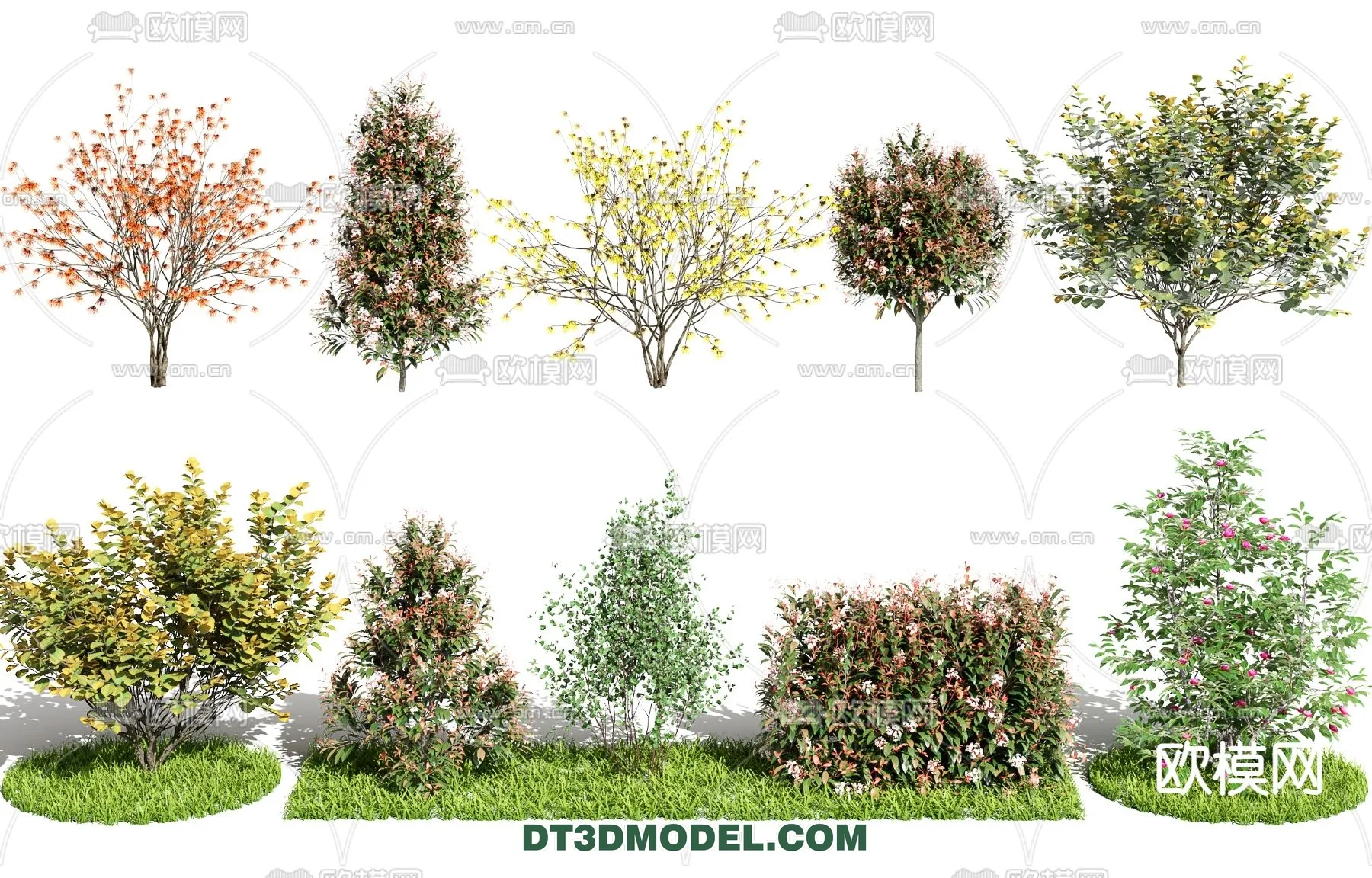 3D MODELS FREE DOWNLOAD 