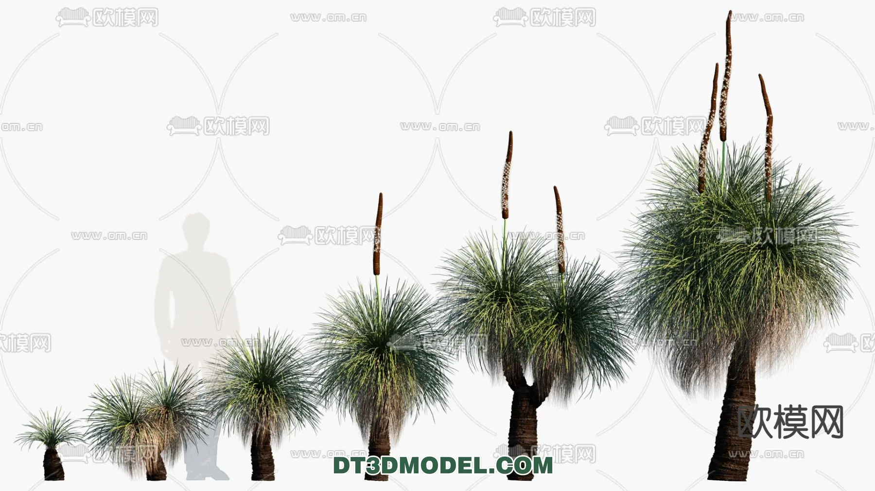 PLANTS - BUSH - VRAY / CORONA - 3D MODEL - 256