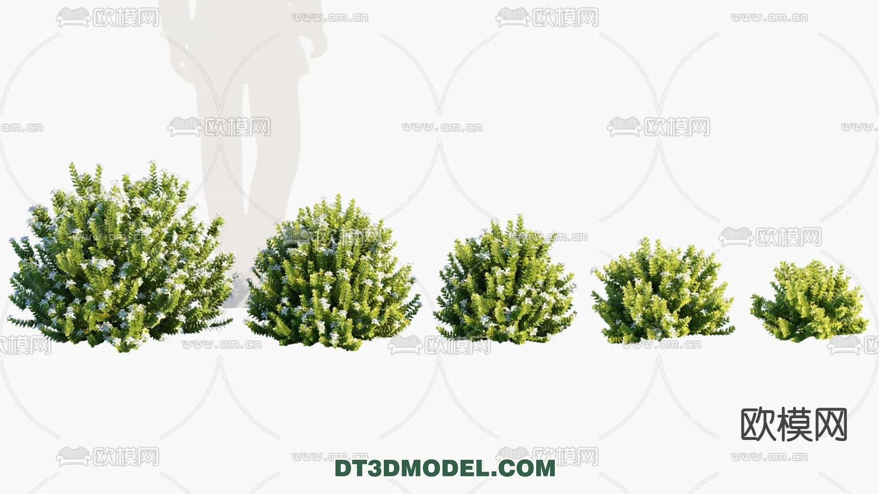 PLANTS - BUSH - VRAY / CORONA - 3D MODEL - 257