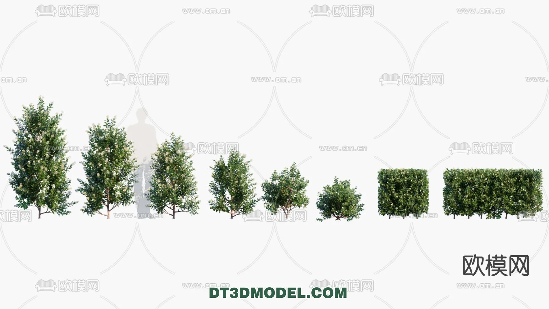 PLANTS - BUSH - VRAY / CORONA - 3D MODEL - 258