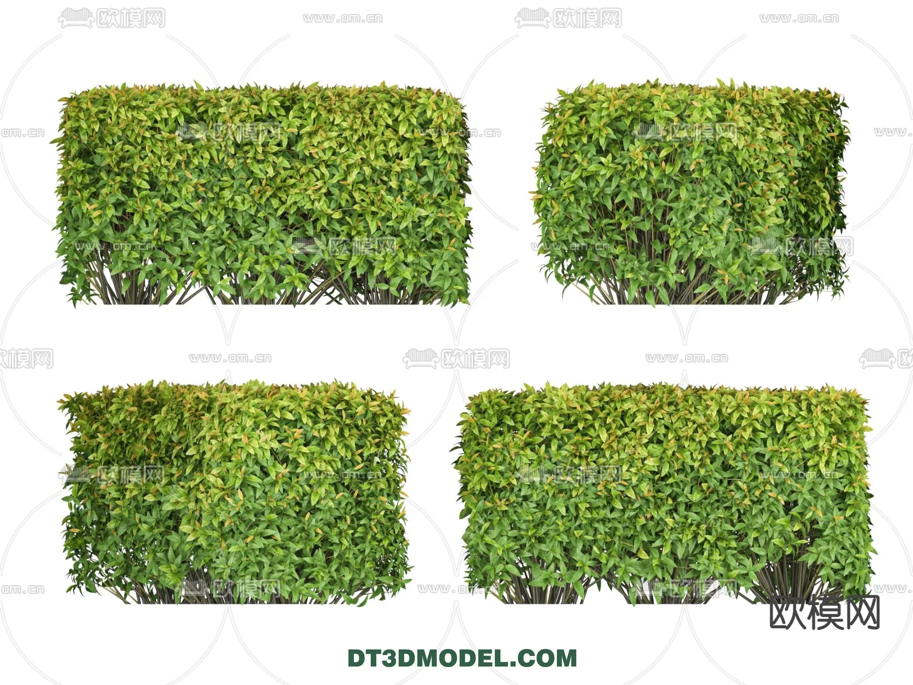 PLANTS - BUSH - VRAY / CORONA - 3D MODEL - 259