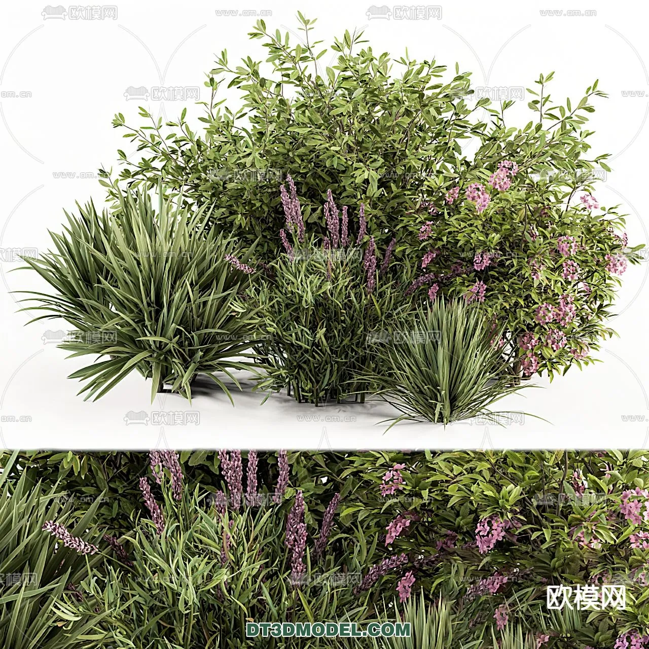 PLANTS - BUSH - VRAY / CORONA - 3D MODEL - 261