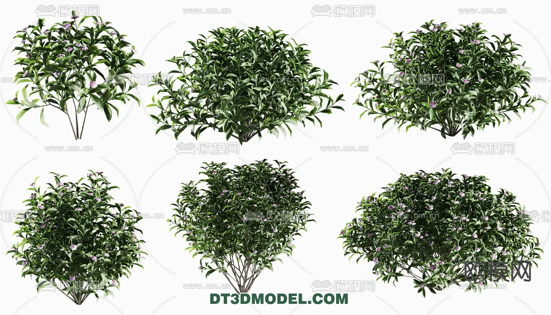 PLANTS - BUSH - VRAY / CORONA - 3D MODEL - 265
