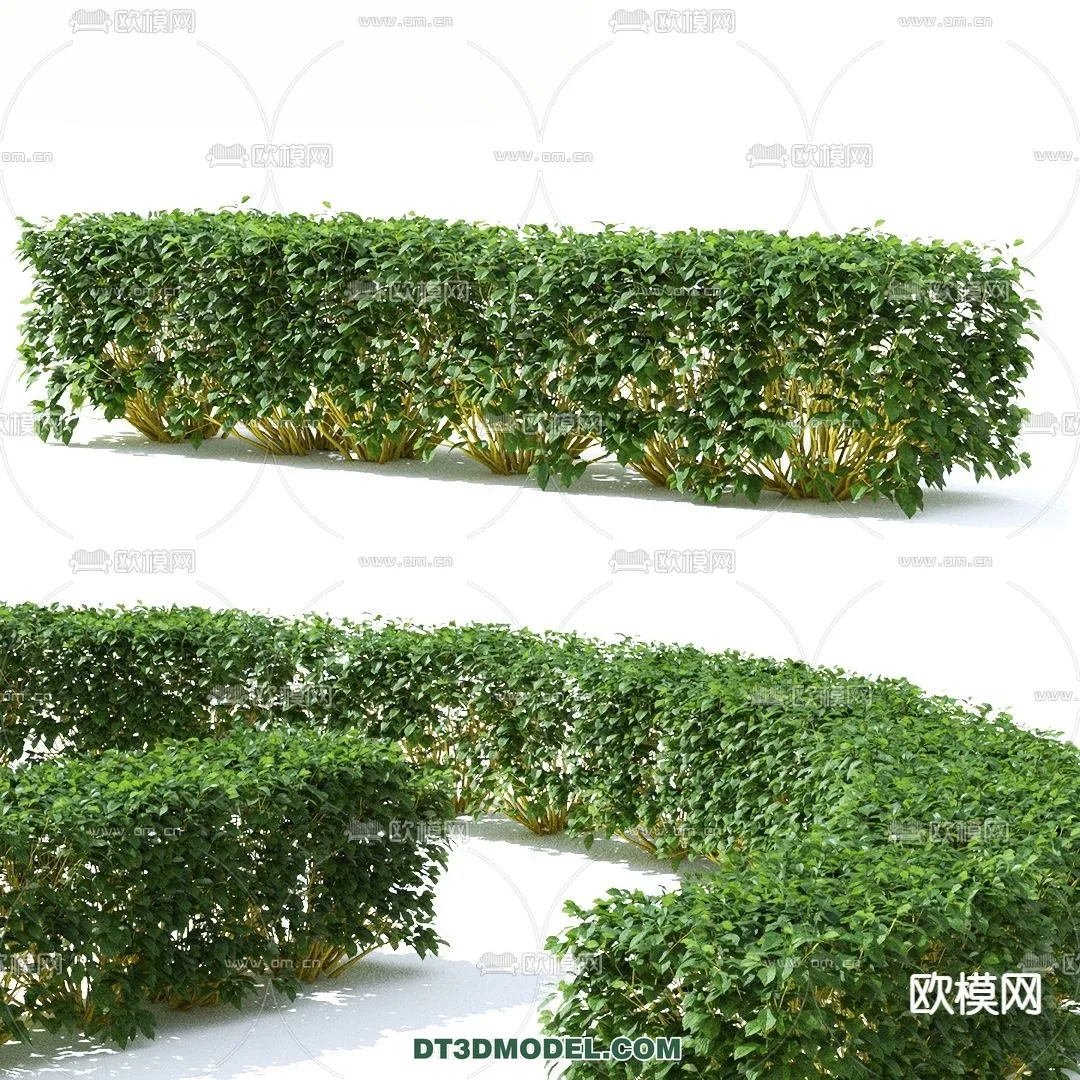 PLANTS - BUSH - VRAY / CORONA - 3D MODEL - 272