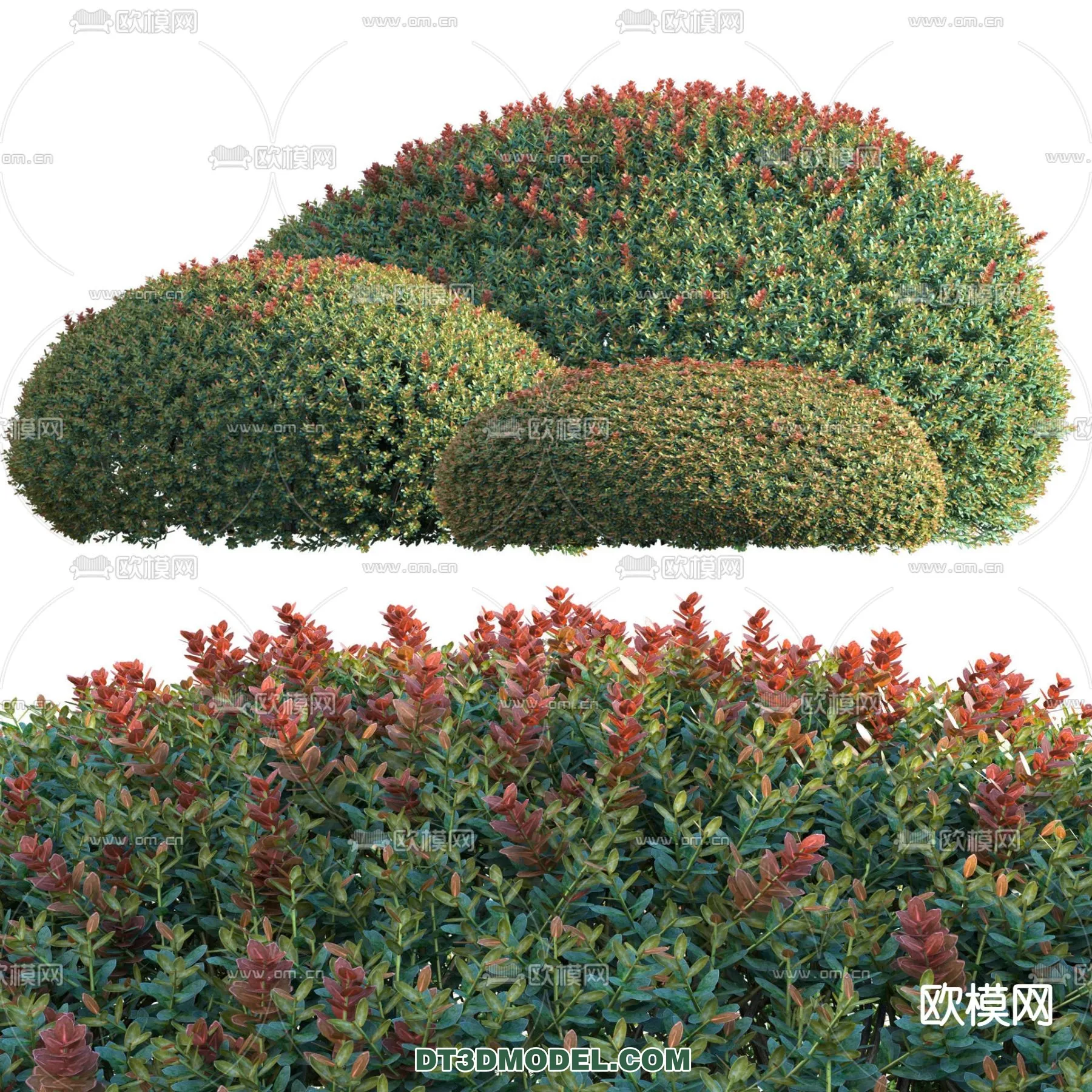 PLANTS - BUSH - VRAY / CORONA - 3D MODEL - 278