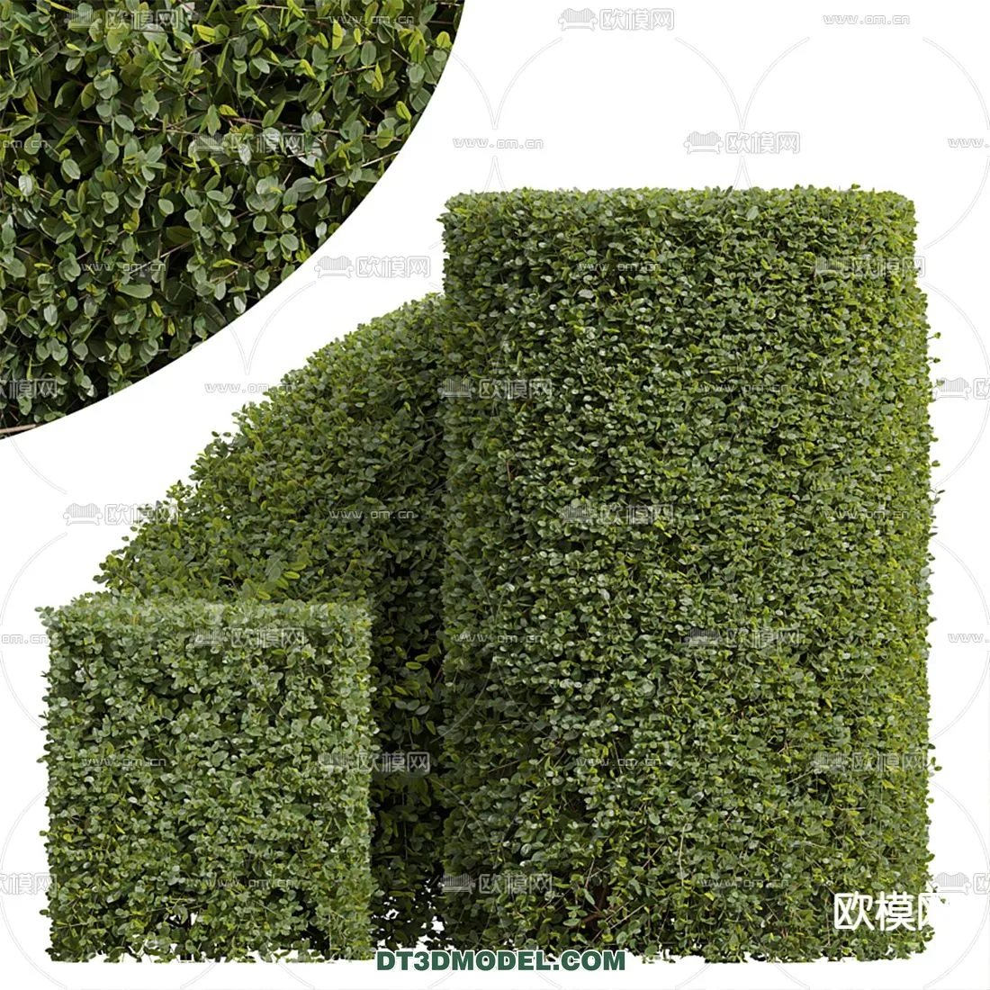 PLANTS - BUSH - VRAY / CORONA - 3D MODEL - 287