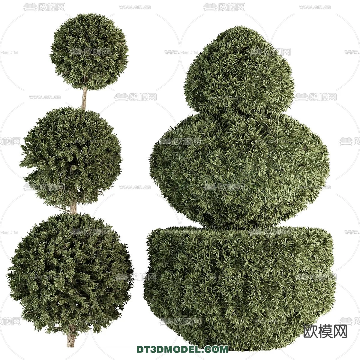 PLANTS - BUSH - VRAY / CORONA - 3D MODEL - 288