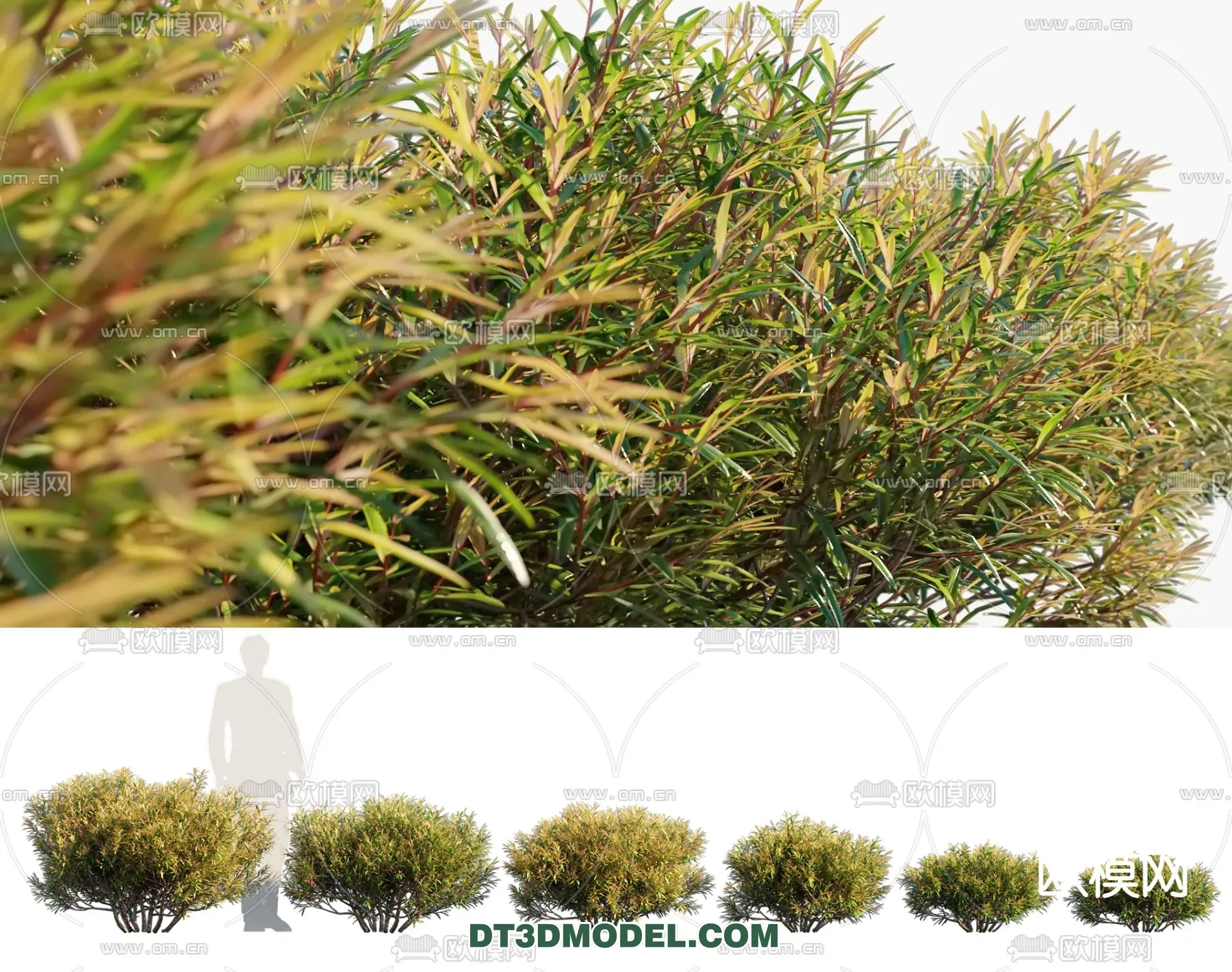 PLANTS - BUSH - VRAY / CORONA - 3D MODEL - 291