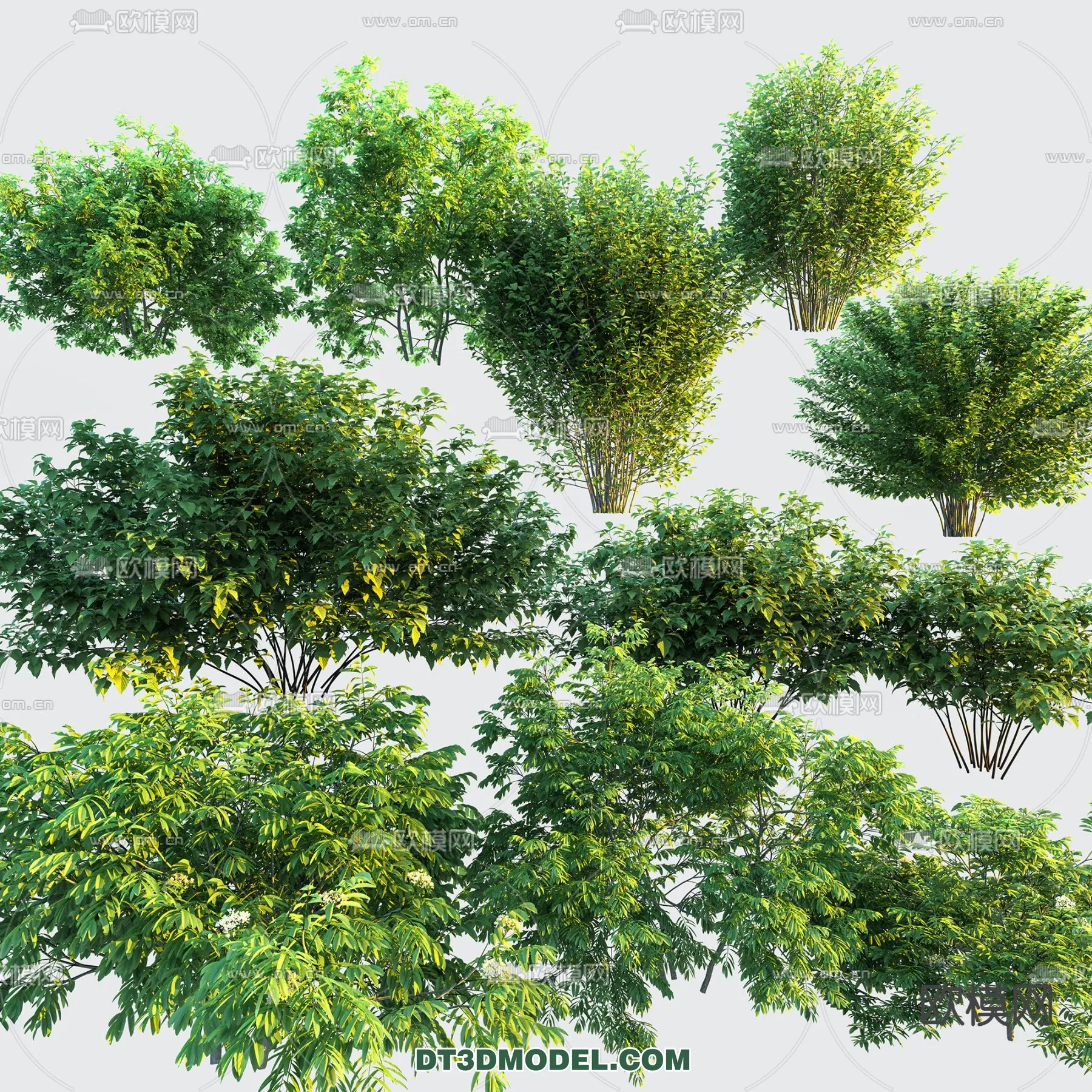 PLANTS - BUSH - VRAY / CORONA - 3D MODEL - 294