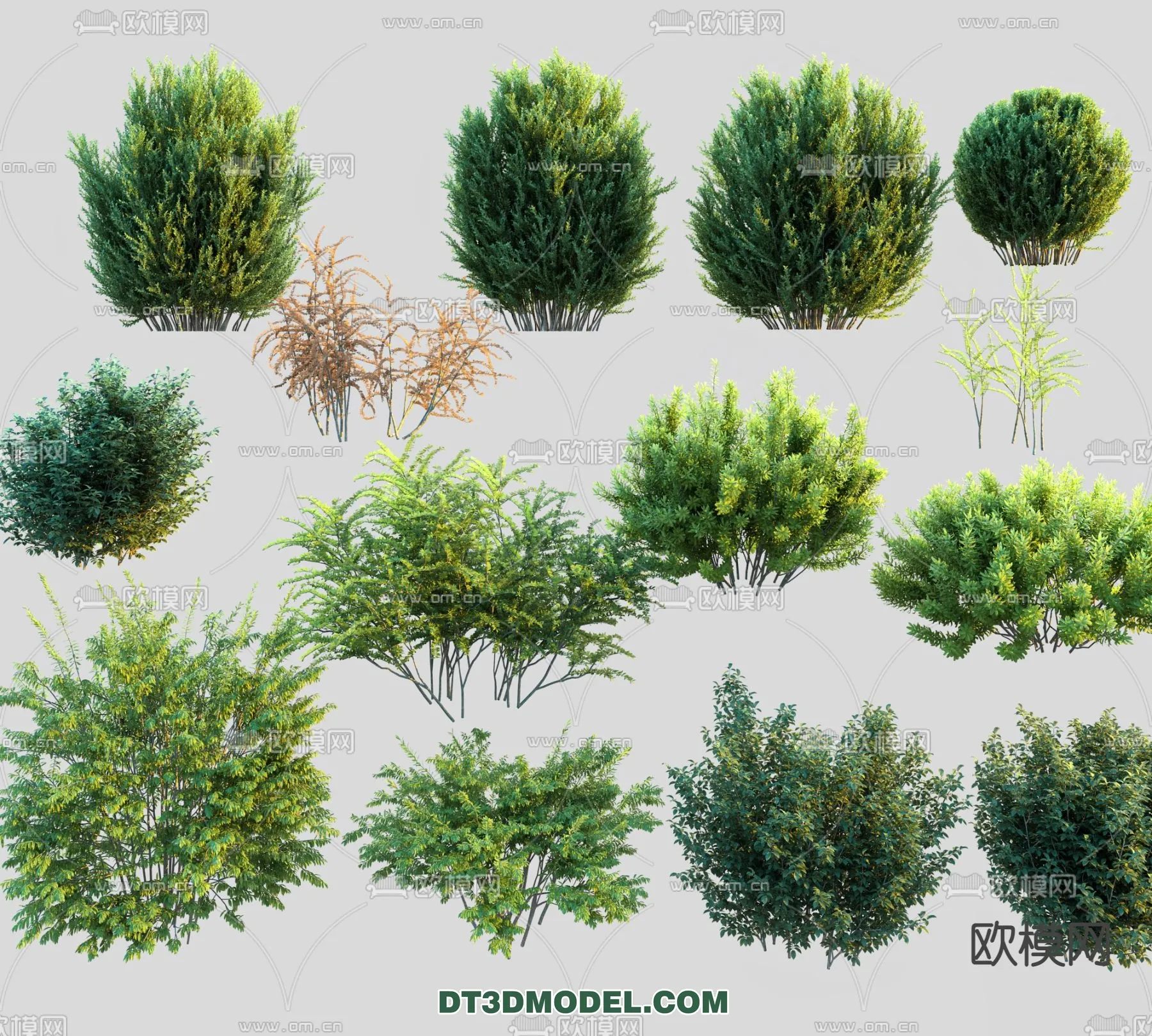 PLANTS - BUSH - VRAY / CORONA - 3D MODEL - 295