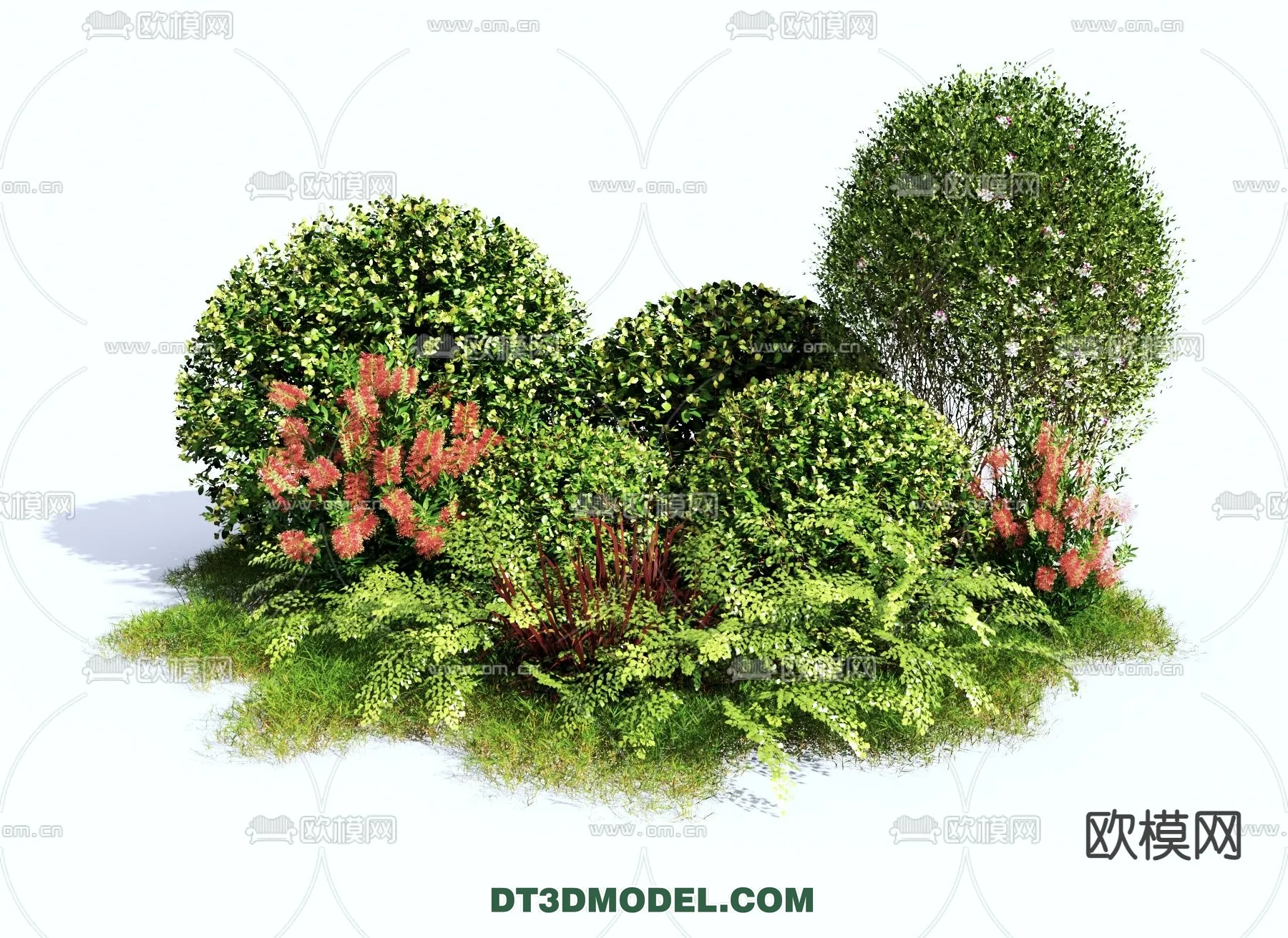 PLANTS - BUSH - VRAY / CORONA - 3D MODEL - 301