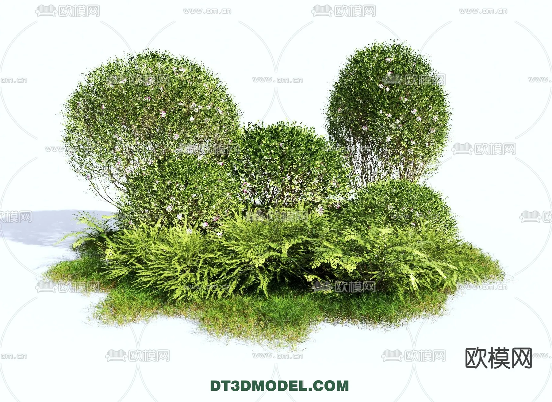 PLANTS - BUSH - VRAY / CORONA - 3D MODEL - 303