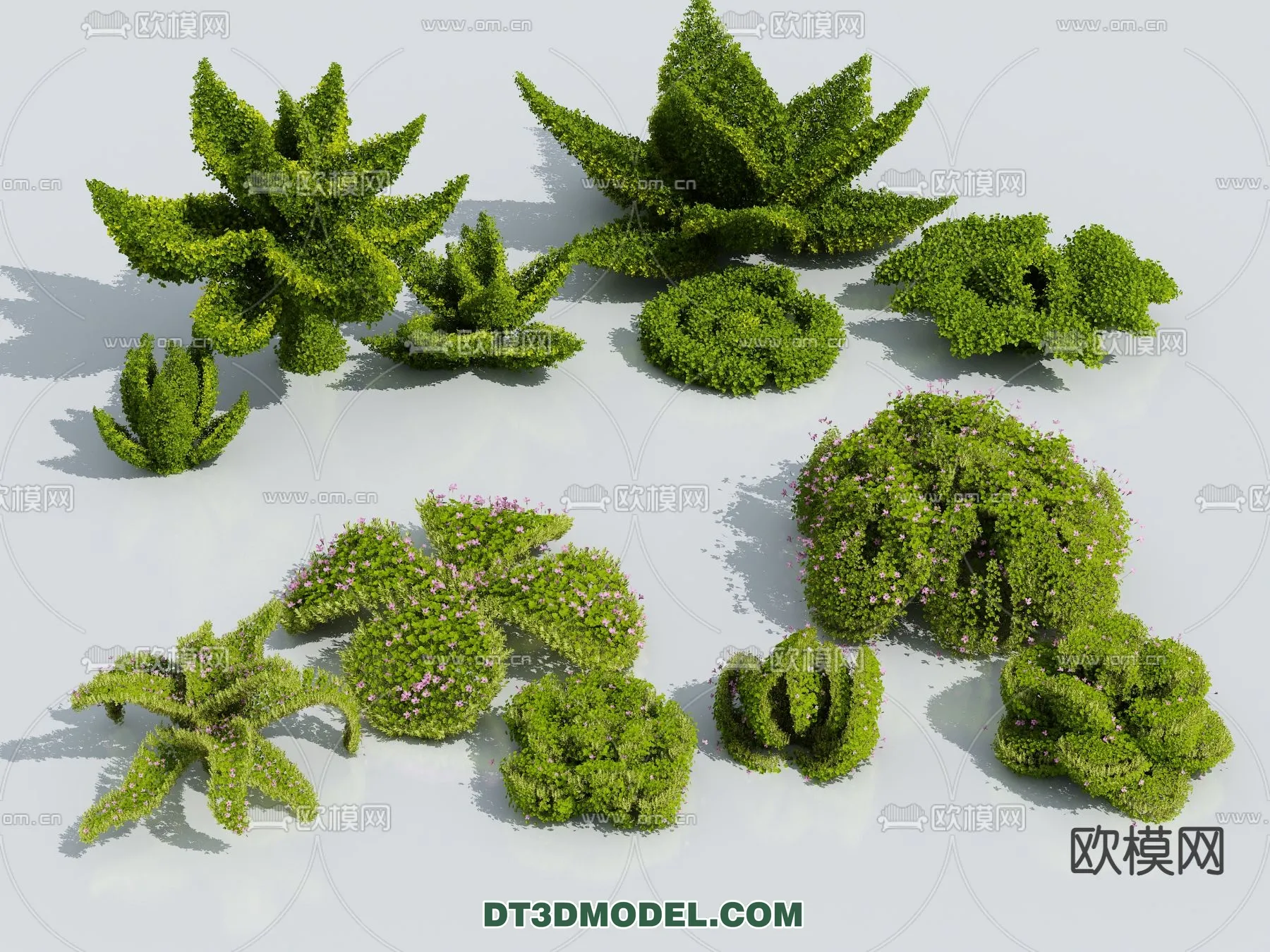 PLANTS - BUSH - VRAY / CORONA - 3D MODEL - 308