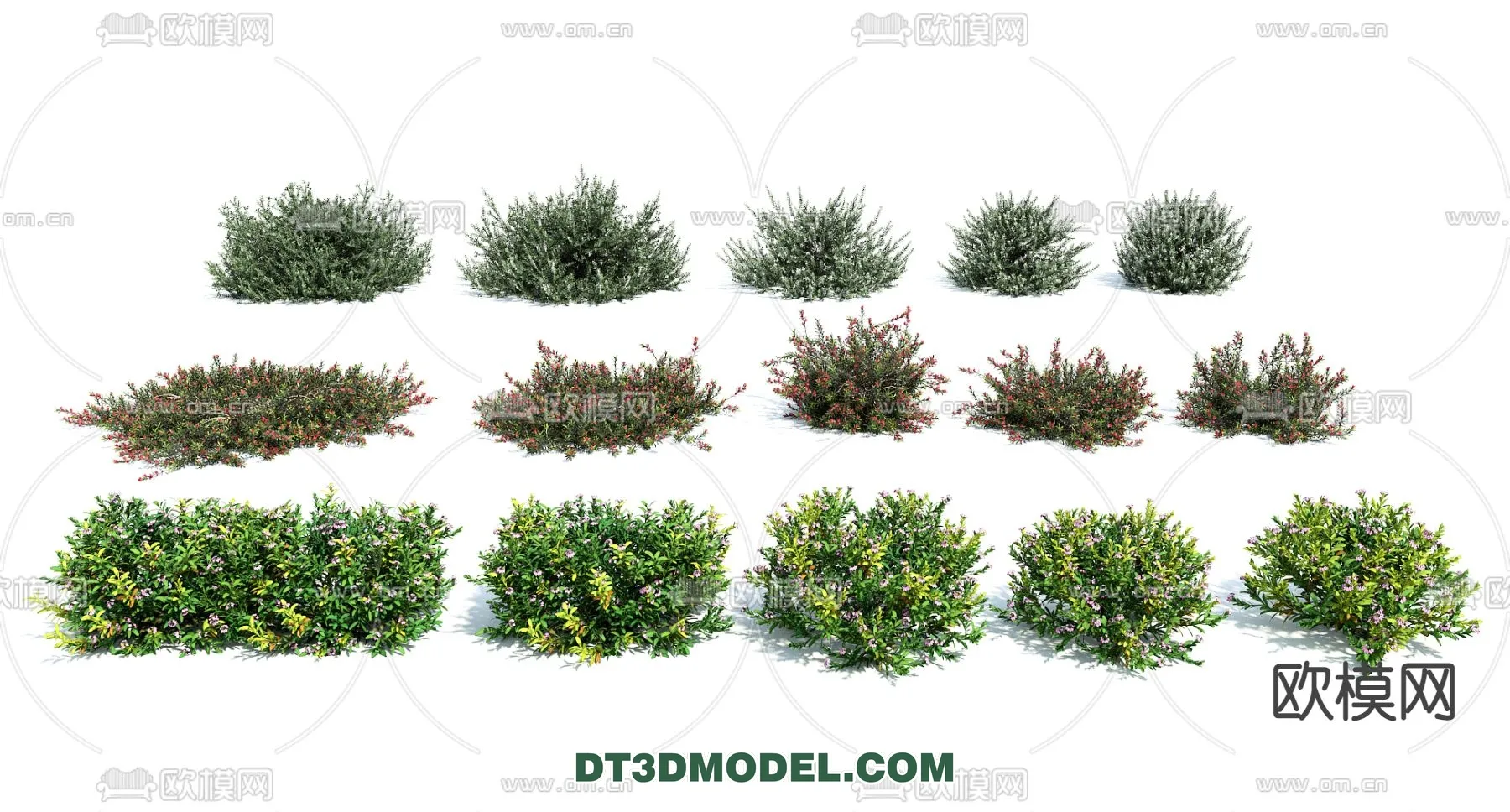PLANTS - BUSH - VRAY / CORONA - 3D MODEL - 314