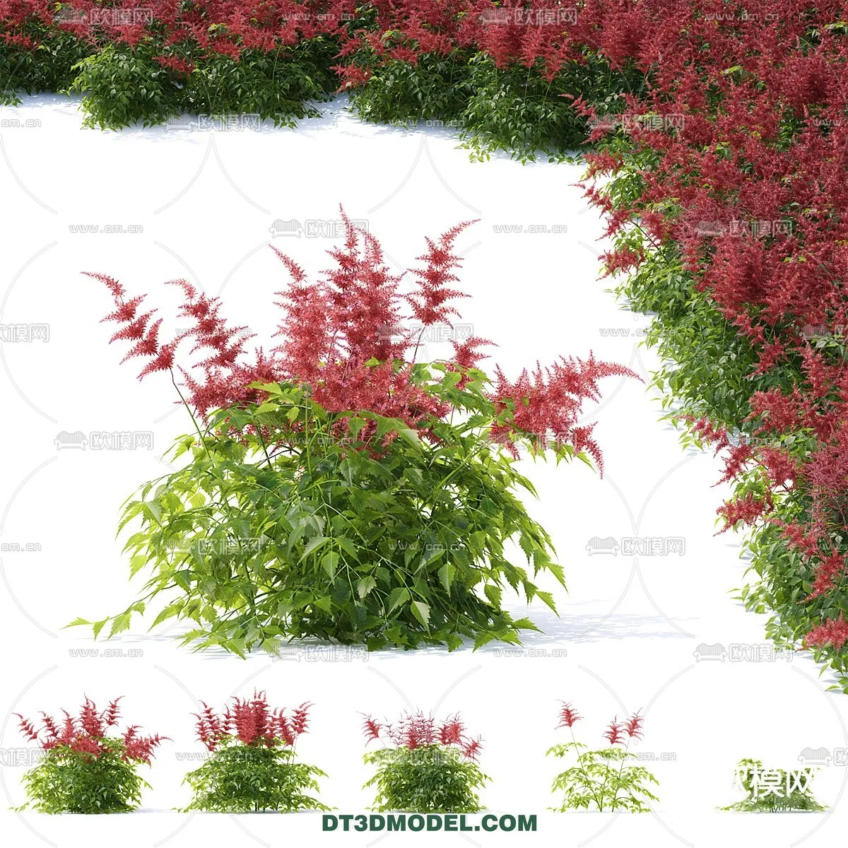 PLANTS - BUSH - VRAY / CORONA - 3D MODEL - 317