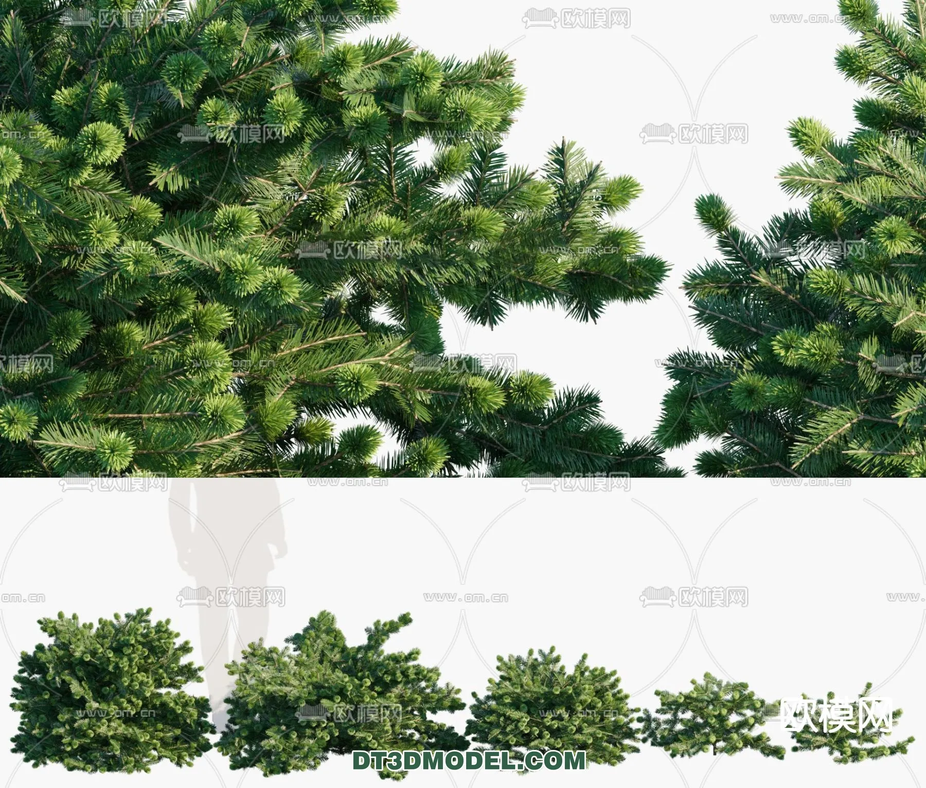 PLANTS - BUSH - VRAY / CORONA - 3D MODEL - 320