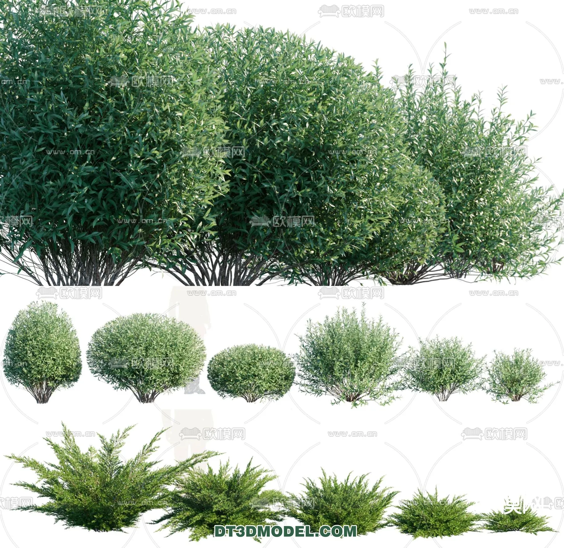 PLANTS - BUSH - VRAY / CORONA - 3D MODEL - 321