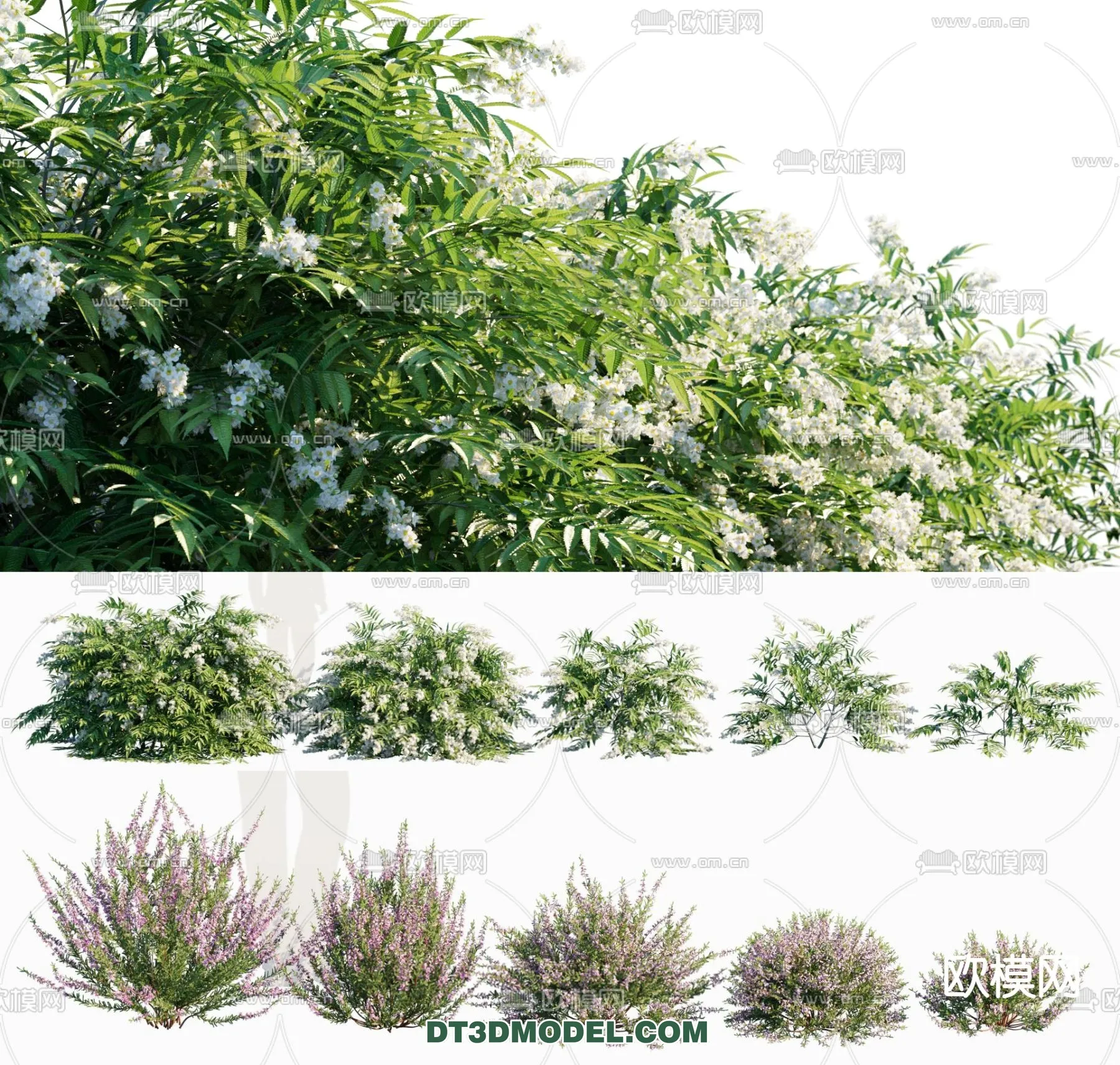 PLANTS - BUSH - VRAY / CORONA - 3D MODEL - 322