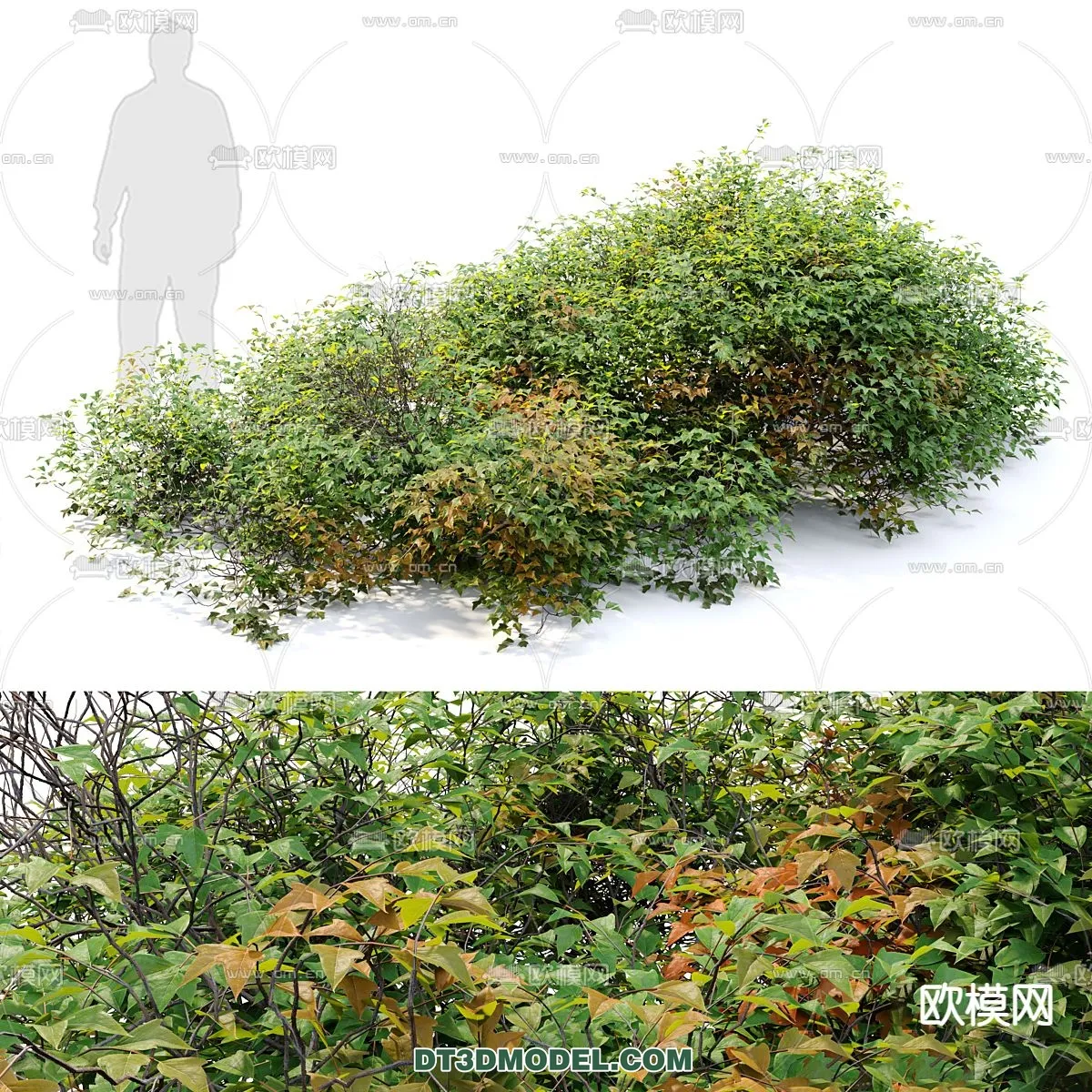PLANTS - BUSH - VRAY / CORONA - 3D MODEL - 327