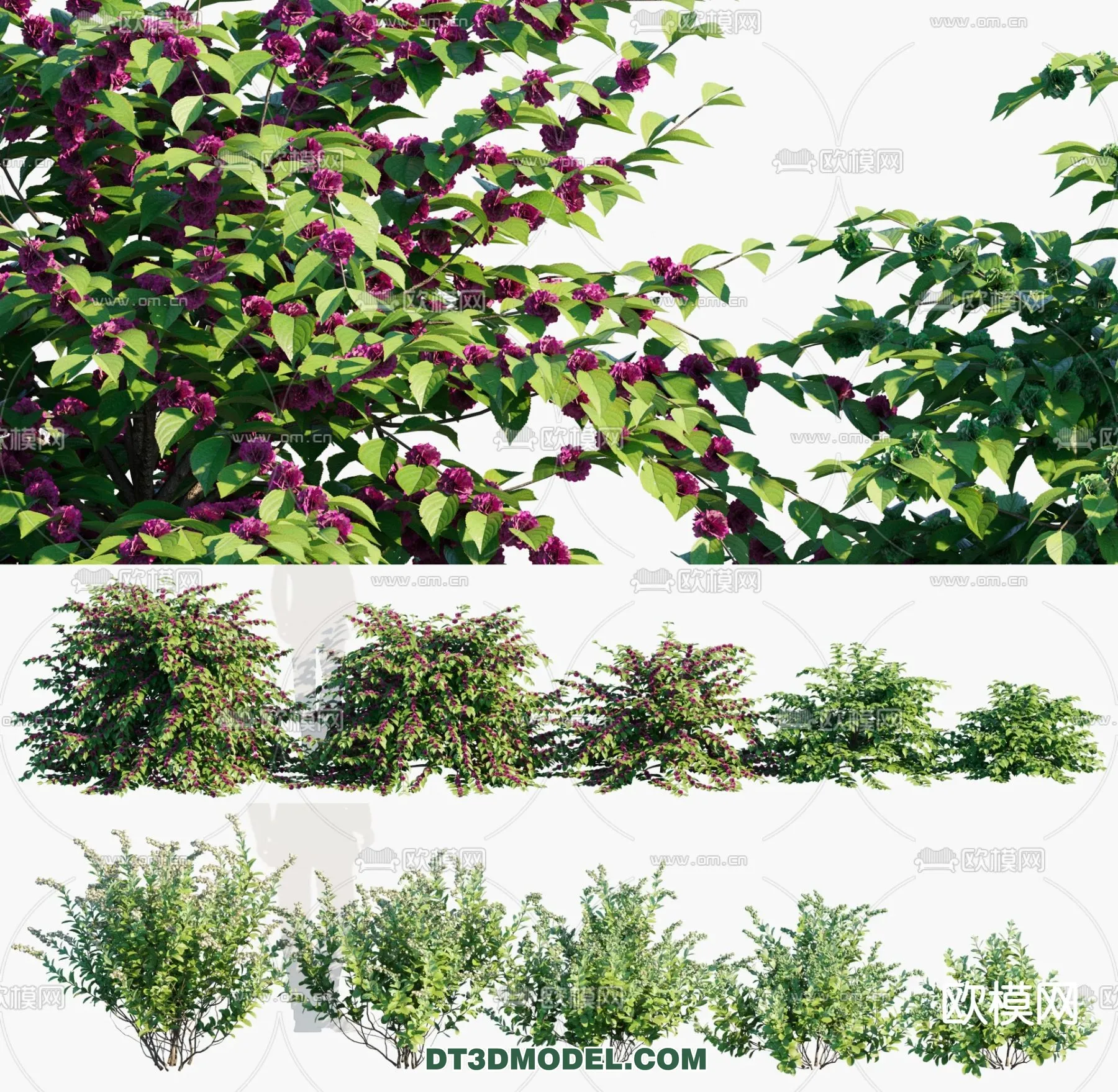 PLANTS - BUSH - VRAY / CORONA - 3D MODEL - 329