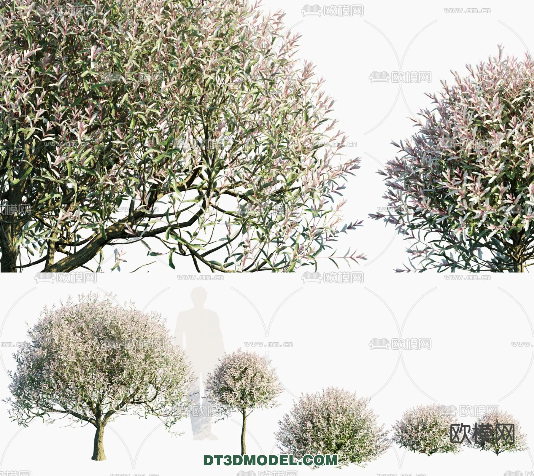 PLANTS - BUSH - VRAY / CORONA - 3D MODEL - 330