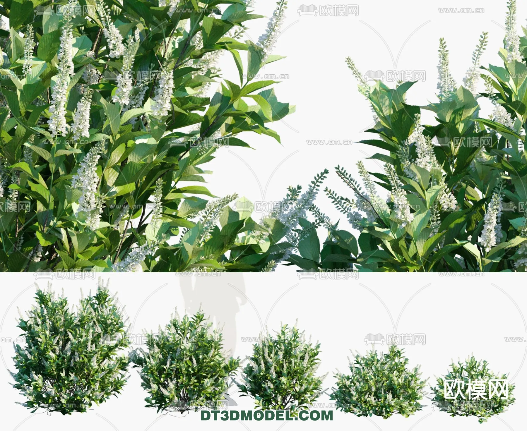 PLANTS - BUSH - VRAY / CORONA - 3D MODEL - 333