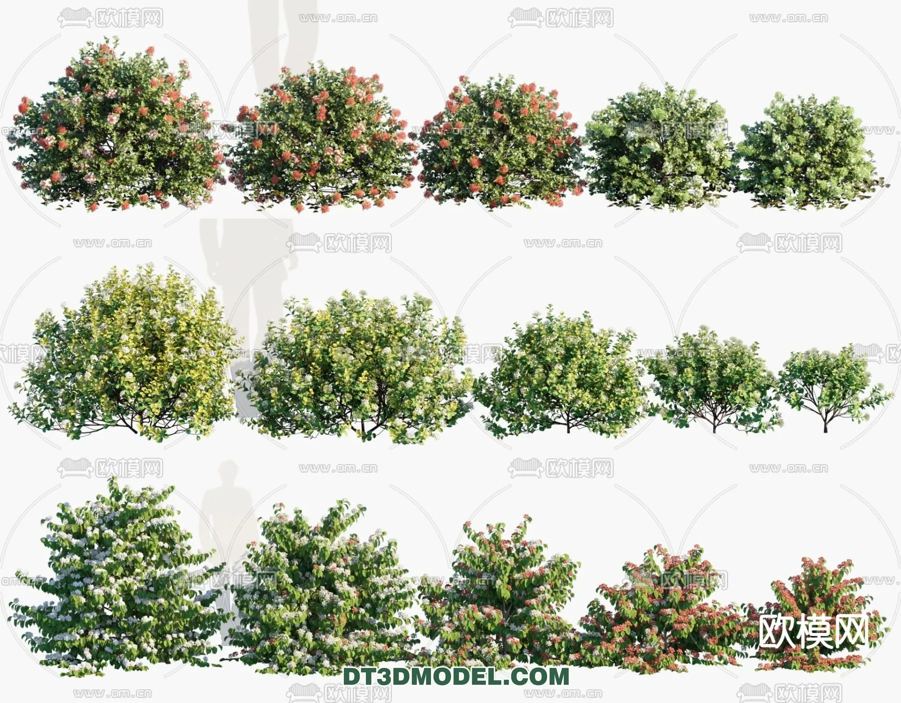 PLANTS - BUSH - VRAY / CORONA - 3D MODEL - 338