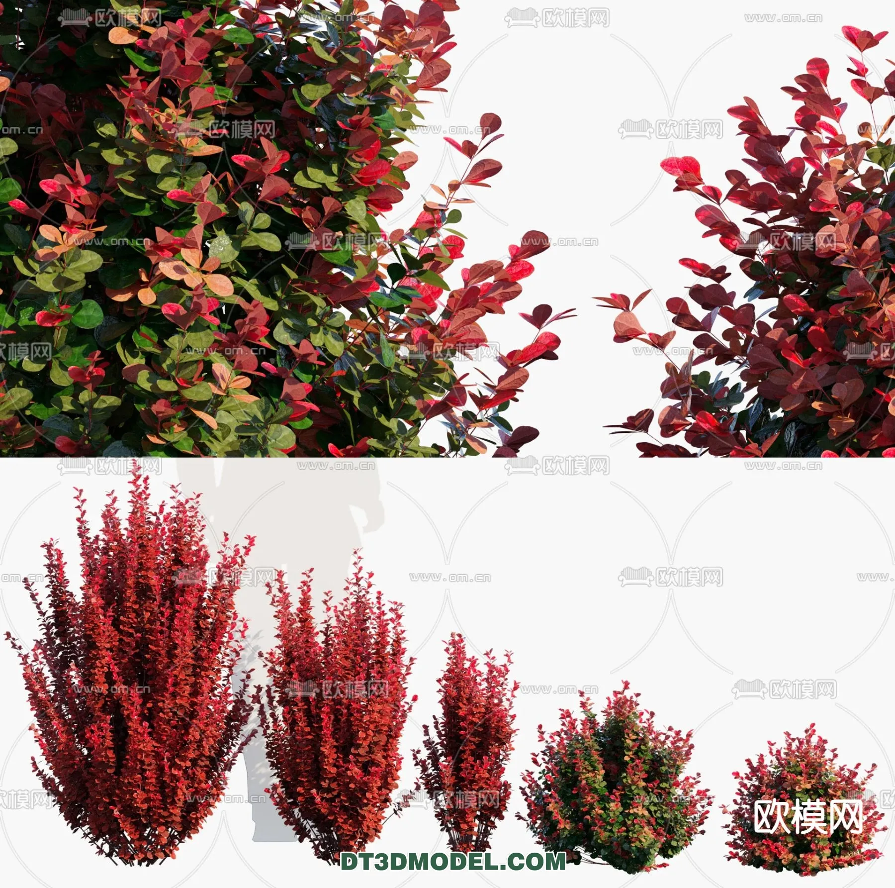 3D MODELS FREE DOWNLOAD 
