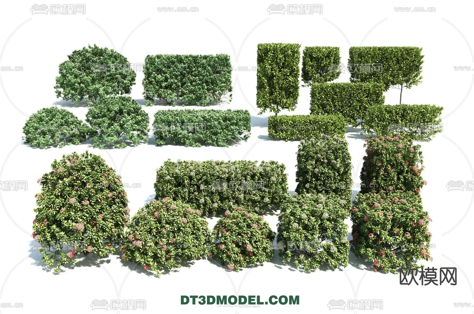 PLANTS - BUSH - VRAY / CORONA - 3D MODEL - 344