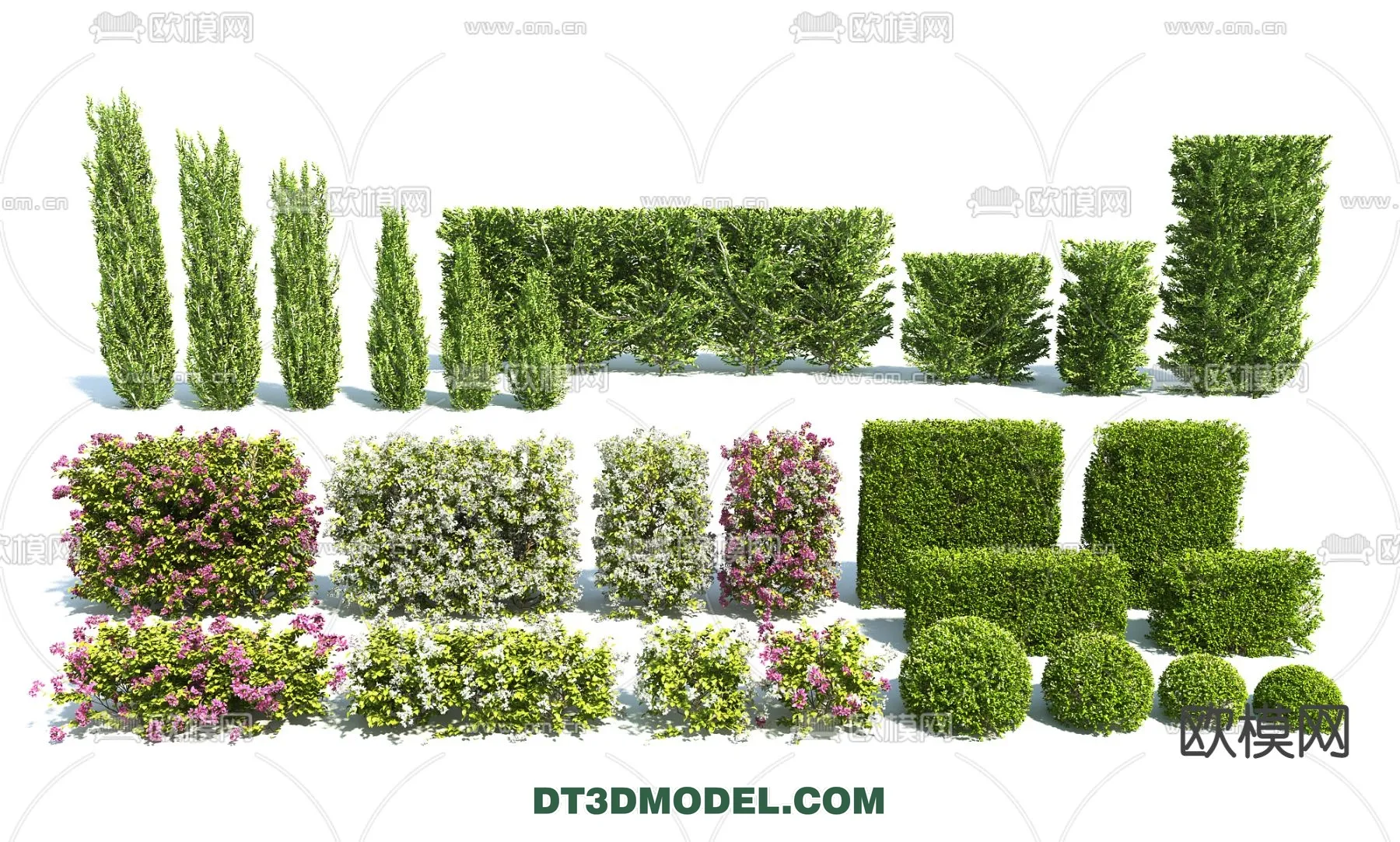 PLANTS - BUSH - VRAY / CORONA - 3D MODEL - 345