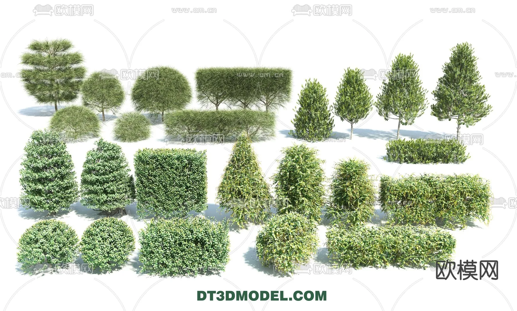 PLANTS - BUSH - VRAY / CORONA - 3D MODEL - 346