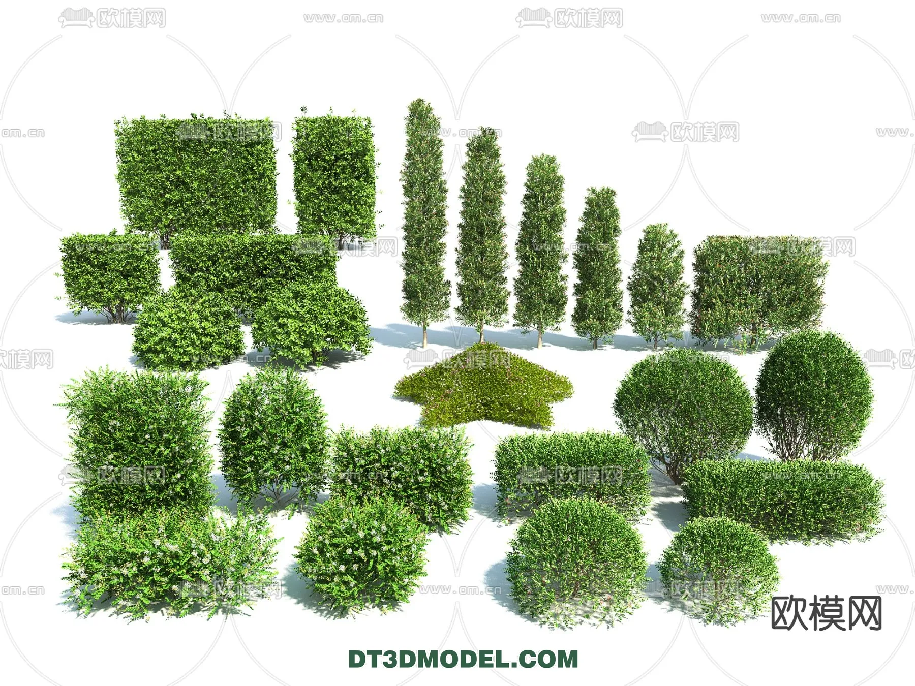 PLANTS - BUSH - VRAY / CORONA - 3D MODEL - 347