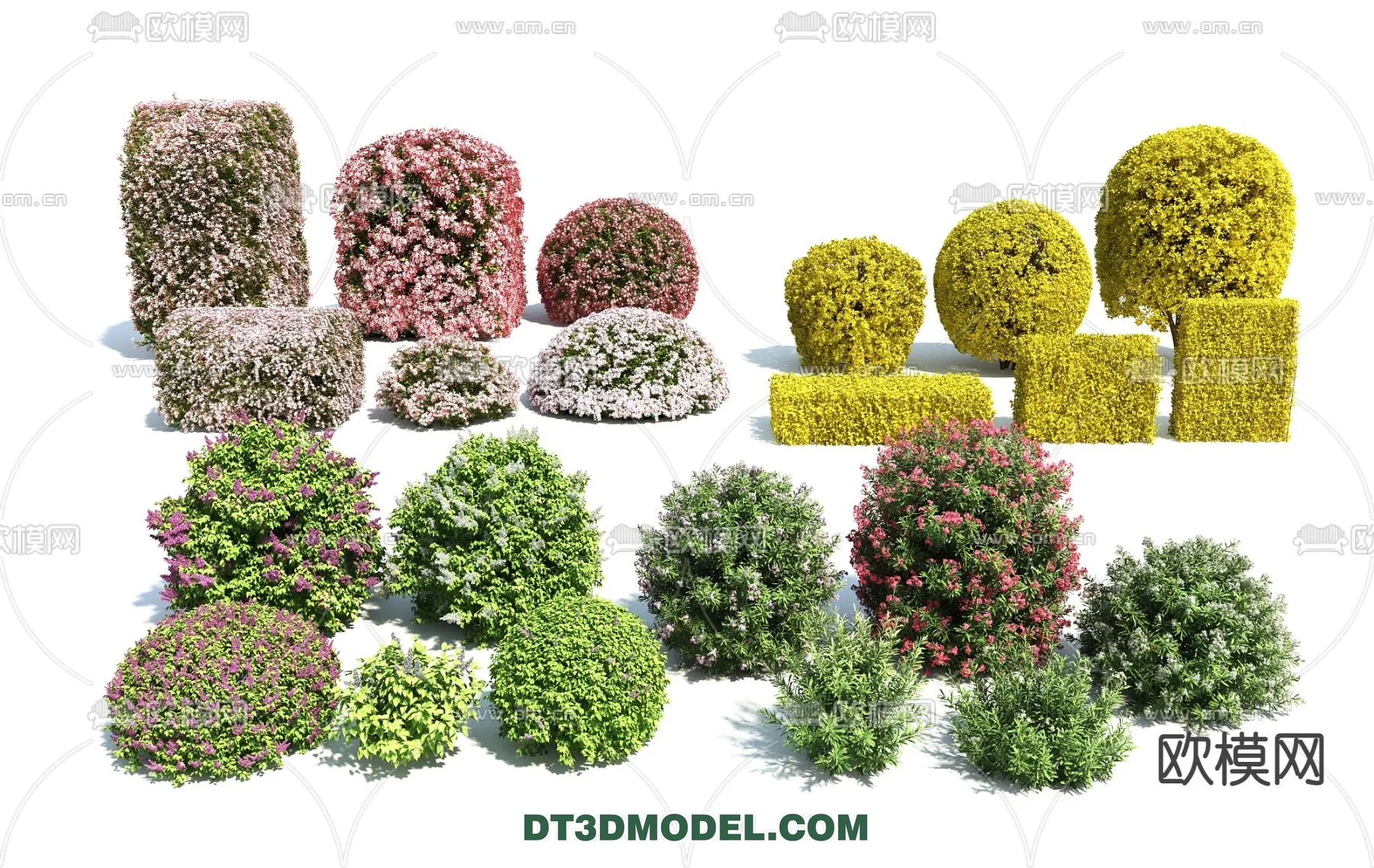 PLANTS - BUSH - VRAY / CORONA - 3D MODEL - 348