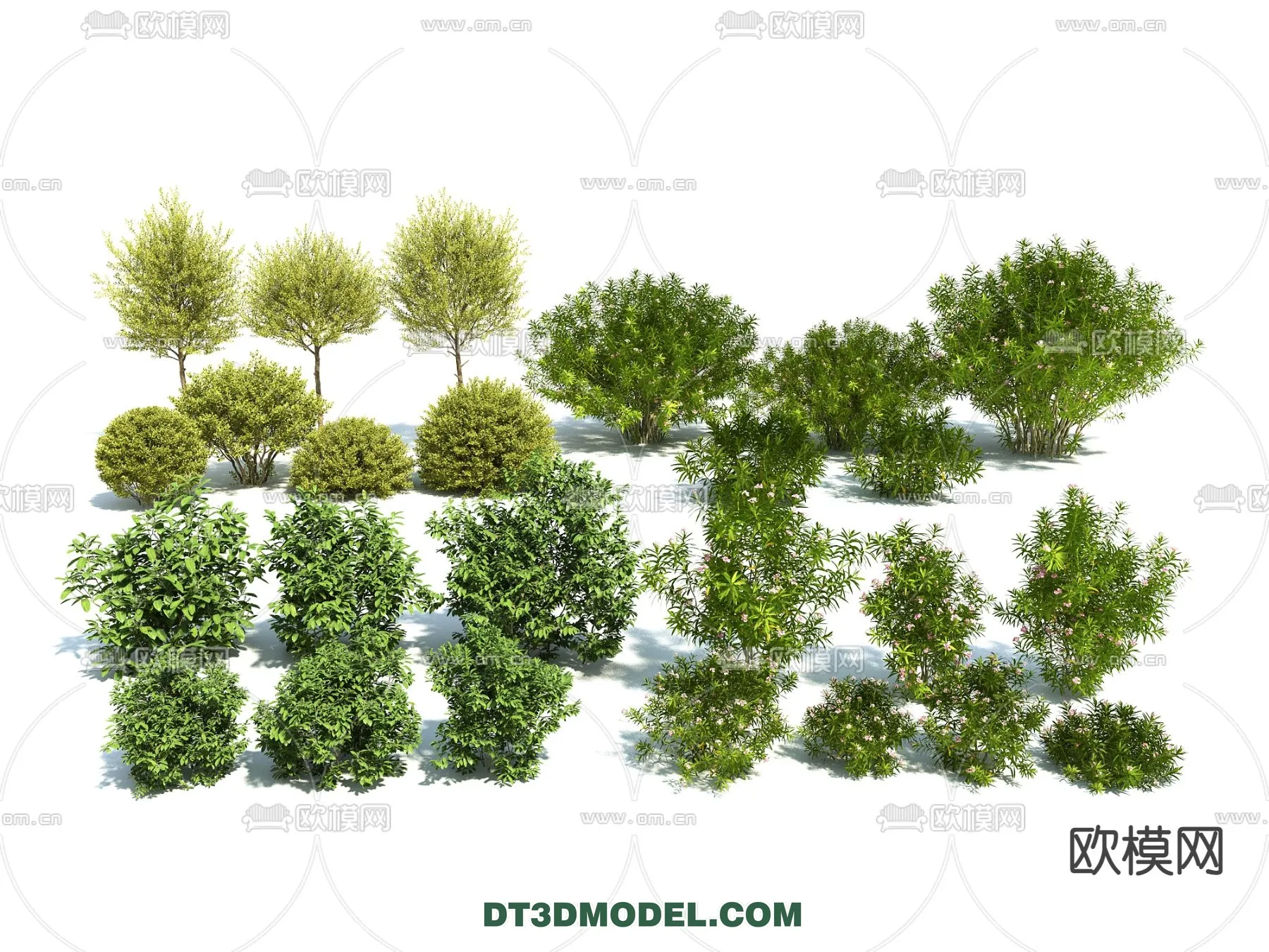 PLANTS - BUSH - VRAY / CORONA - 3D MODEL - 349