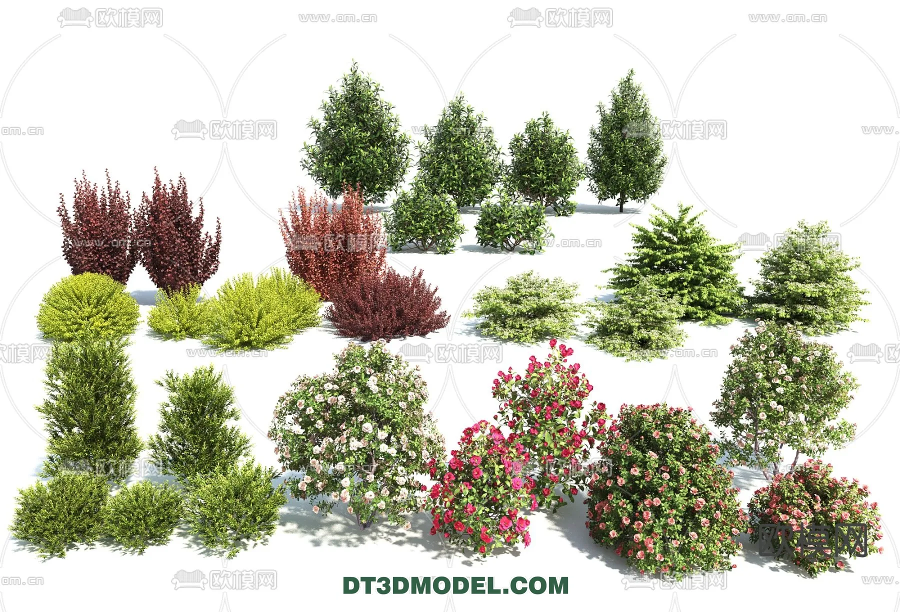 PLANTS - BUSH - VRAY / CORONA - 3D MODEL - 350