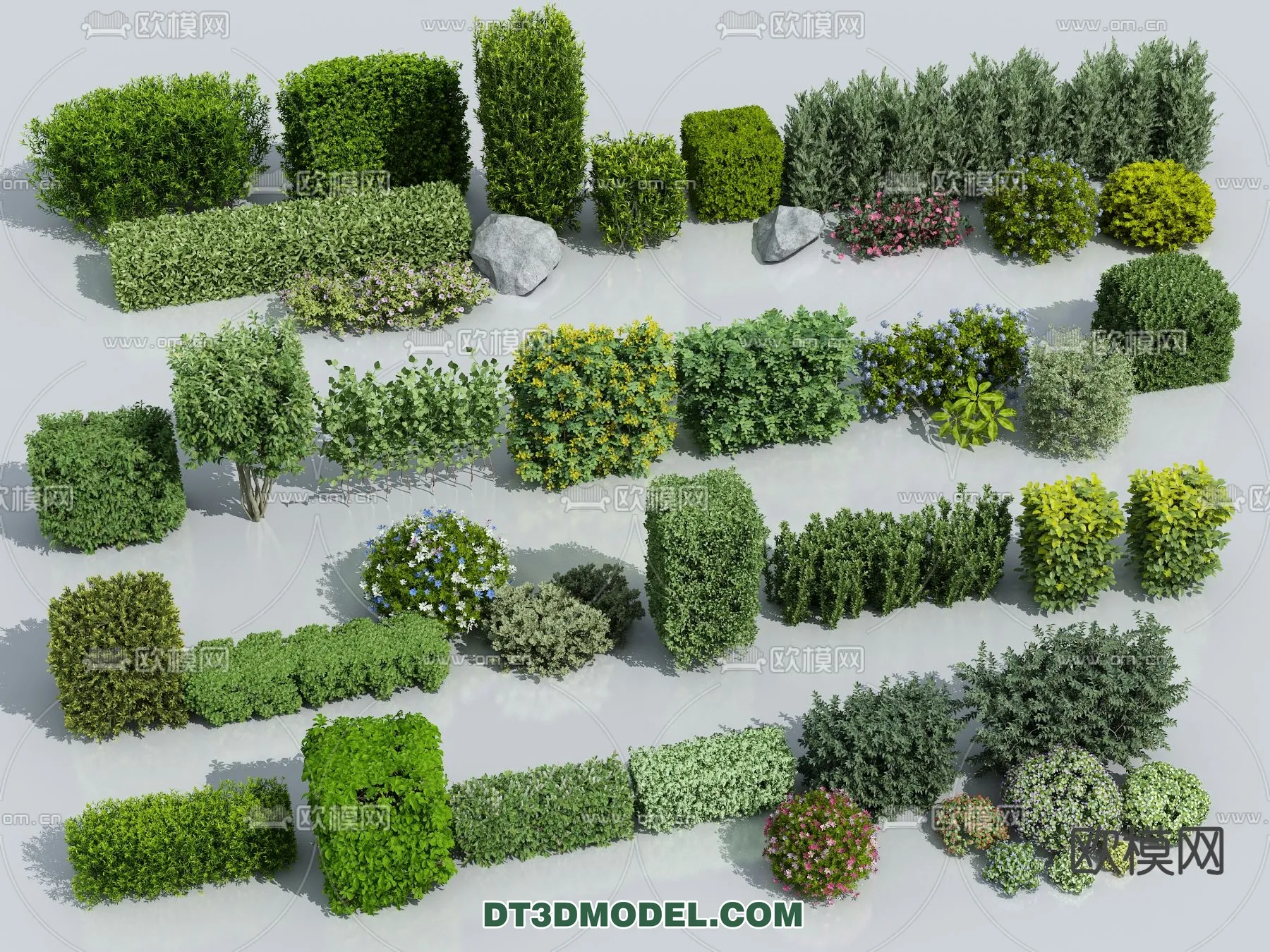 PLANTS - BUSH - VRAY / CORONA - 3D MODEL - 352