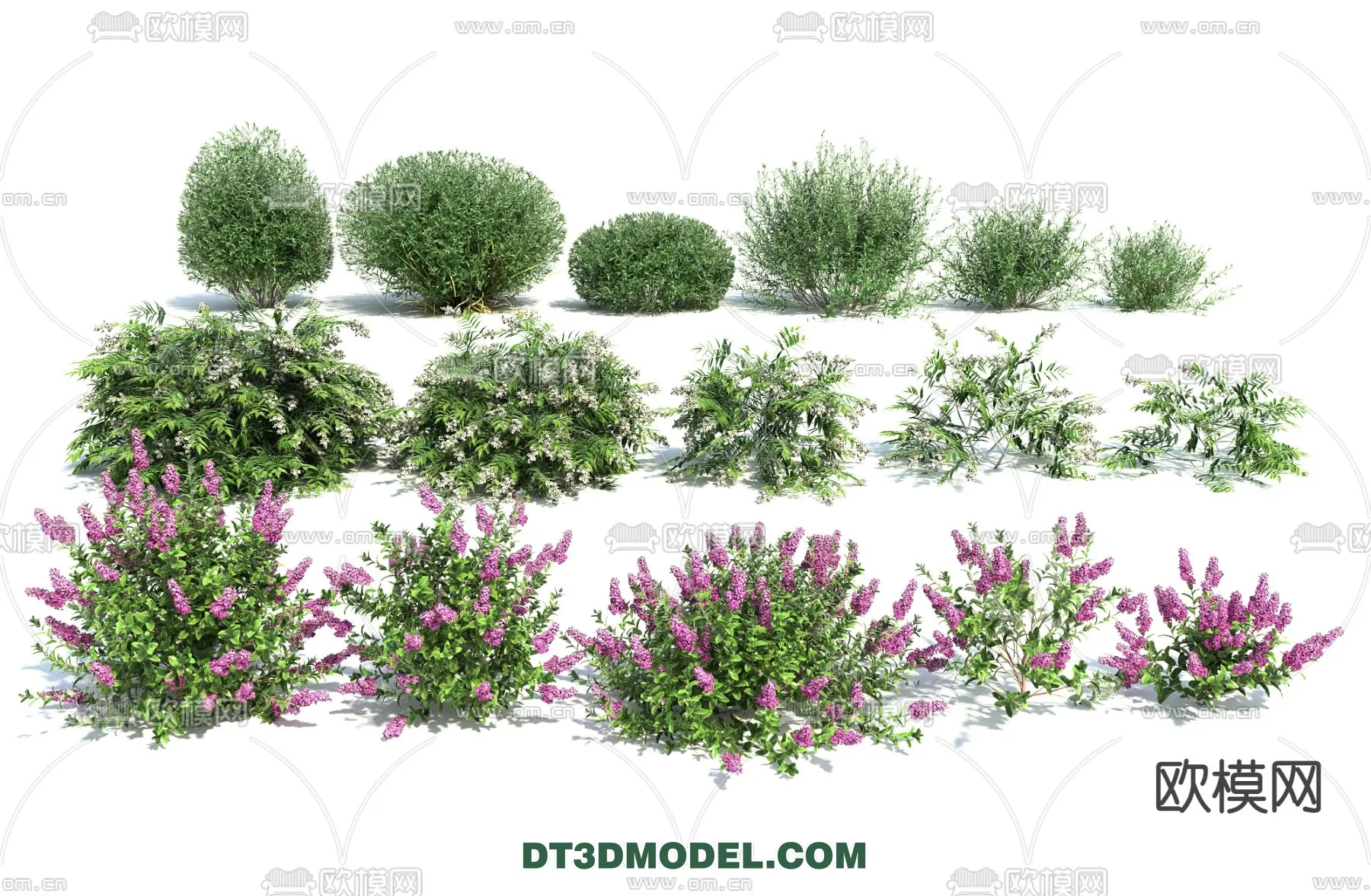 PLANTS - BUSH - VRAY / CORONA - 3D MODEL - 353