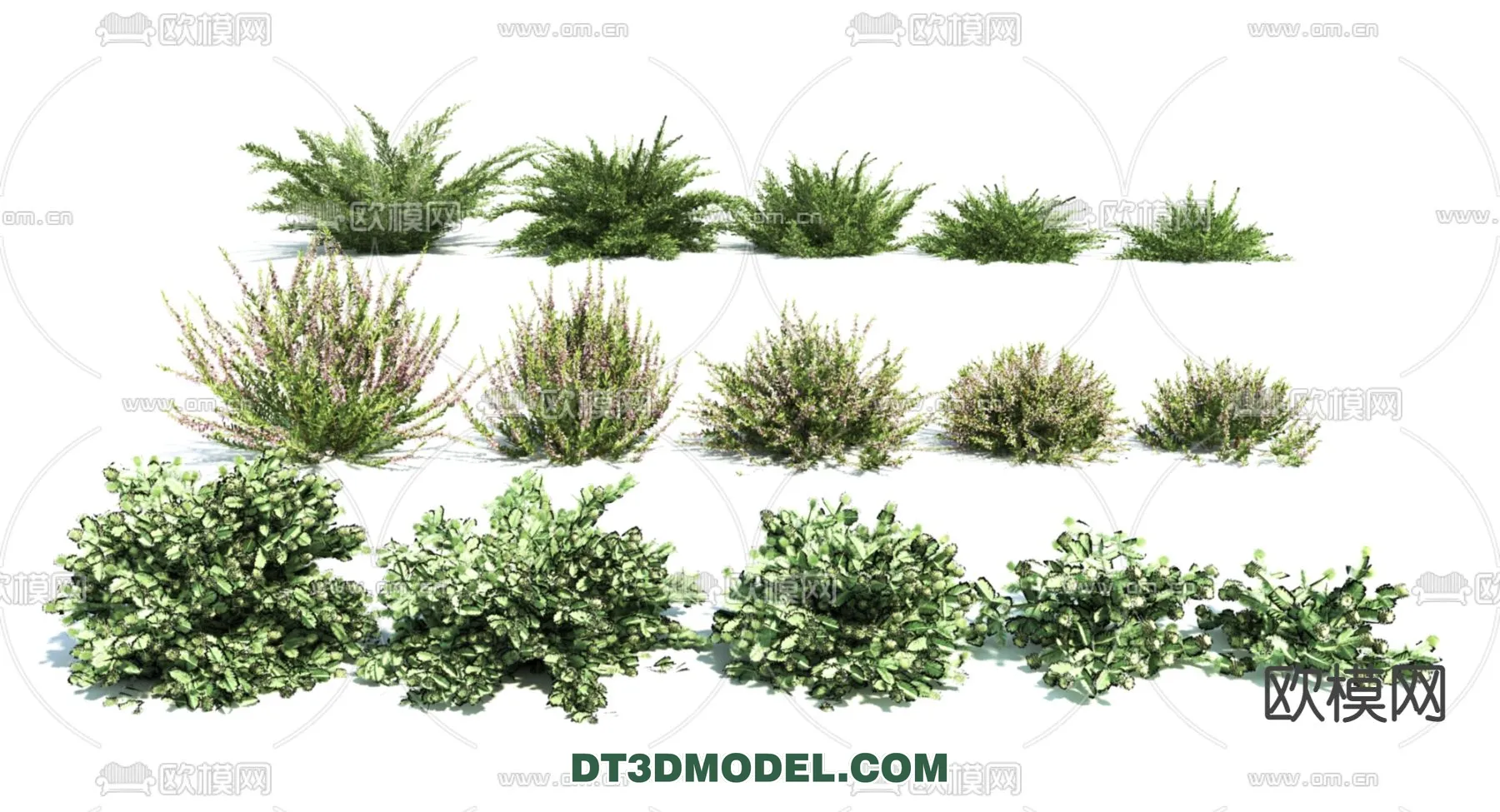 PLANTS - BUSH - VRAY / CORONA - 3D MODEL - 354