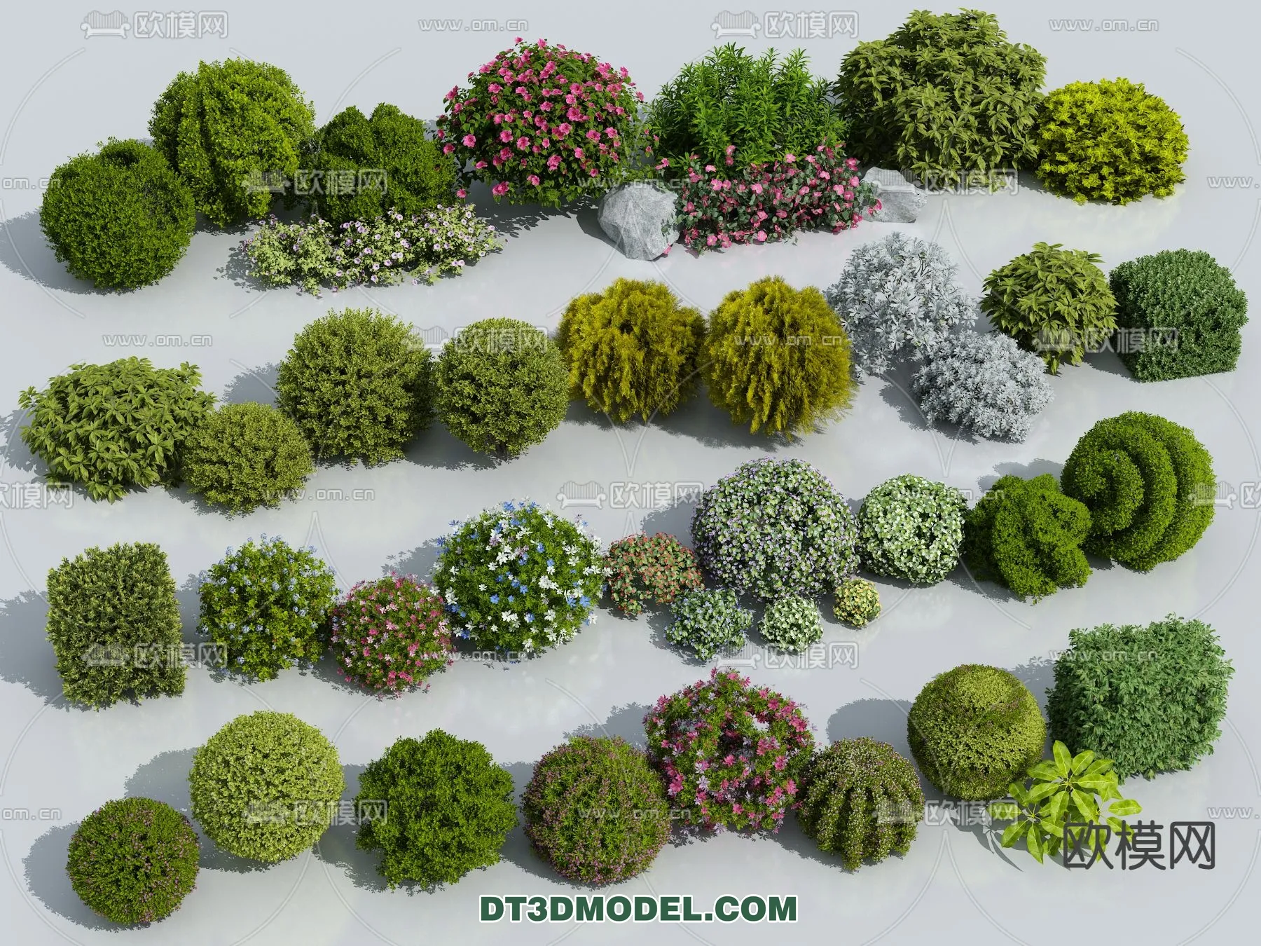 PLANTS - BUSH - VRAY / CORONA - 3D MODEL - 355