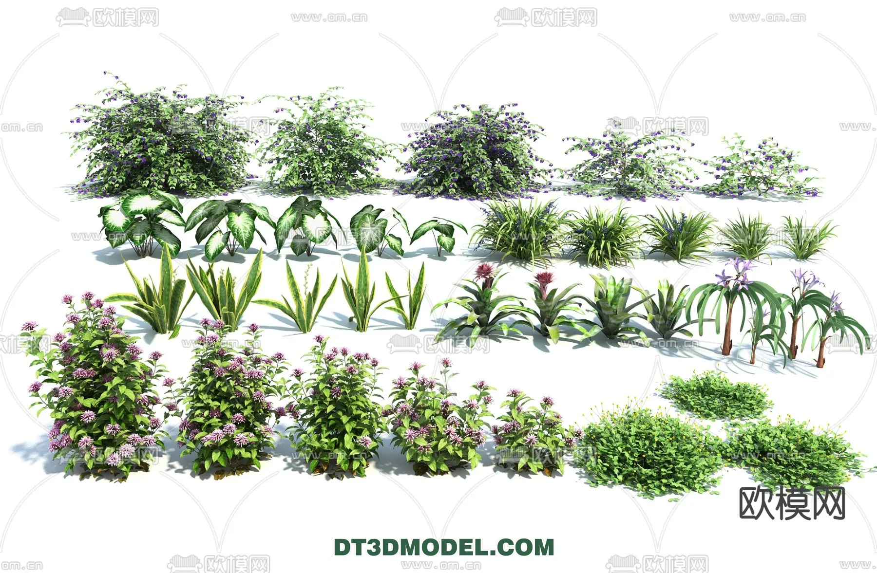 PLANTS - BUSH - VRAY / CORONA - 3D MODEL - 357