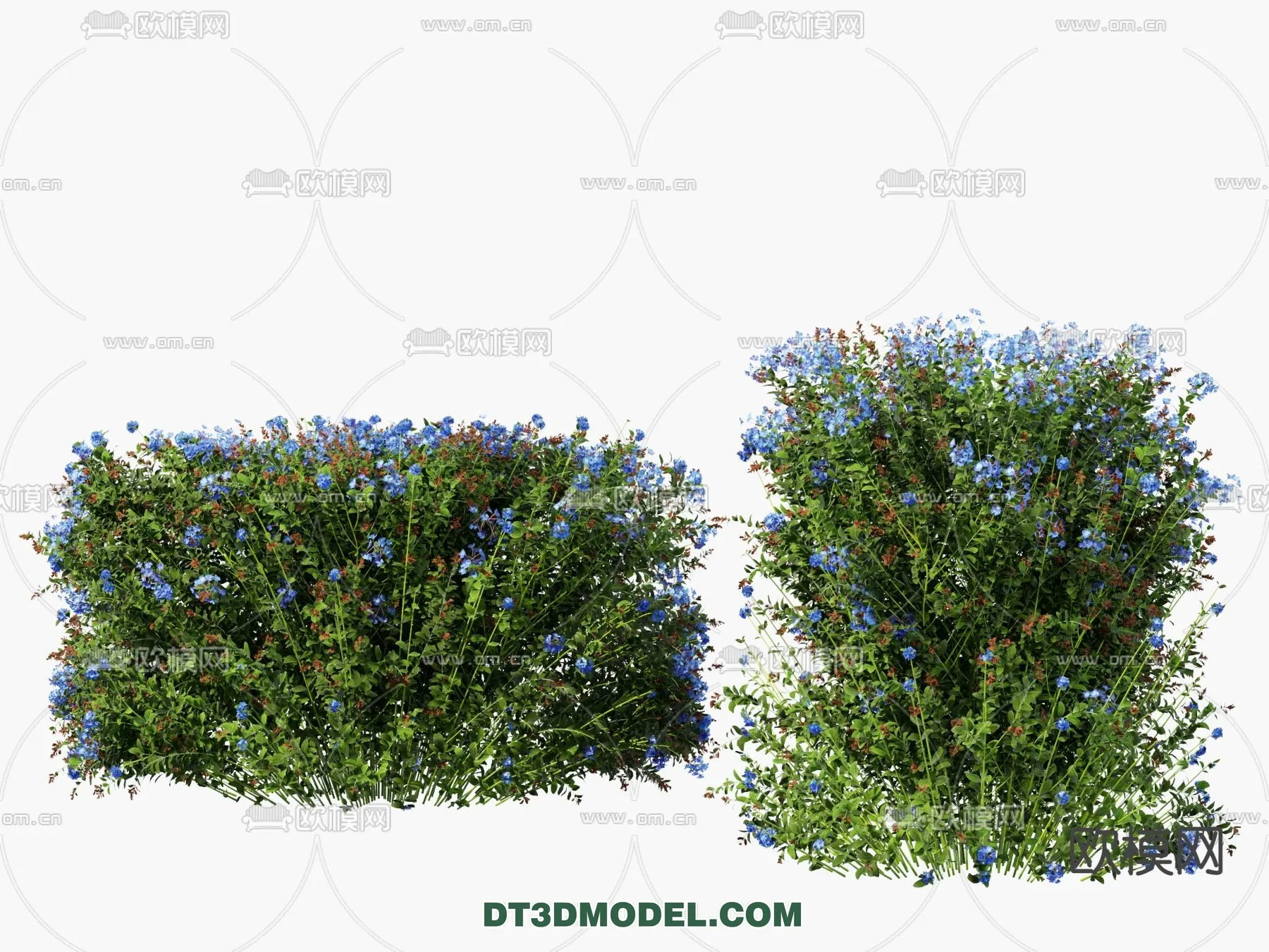 PLANTS - BUSH - VRAY / CORONA - 3D MODEL - 358