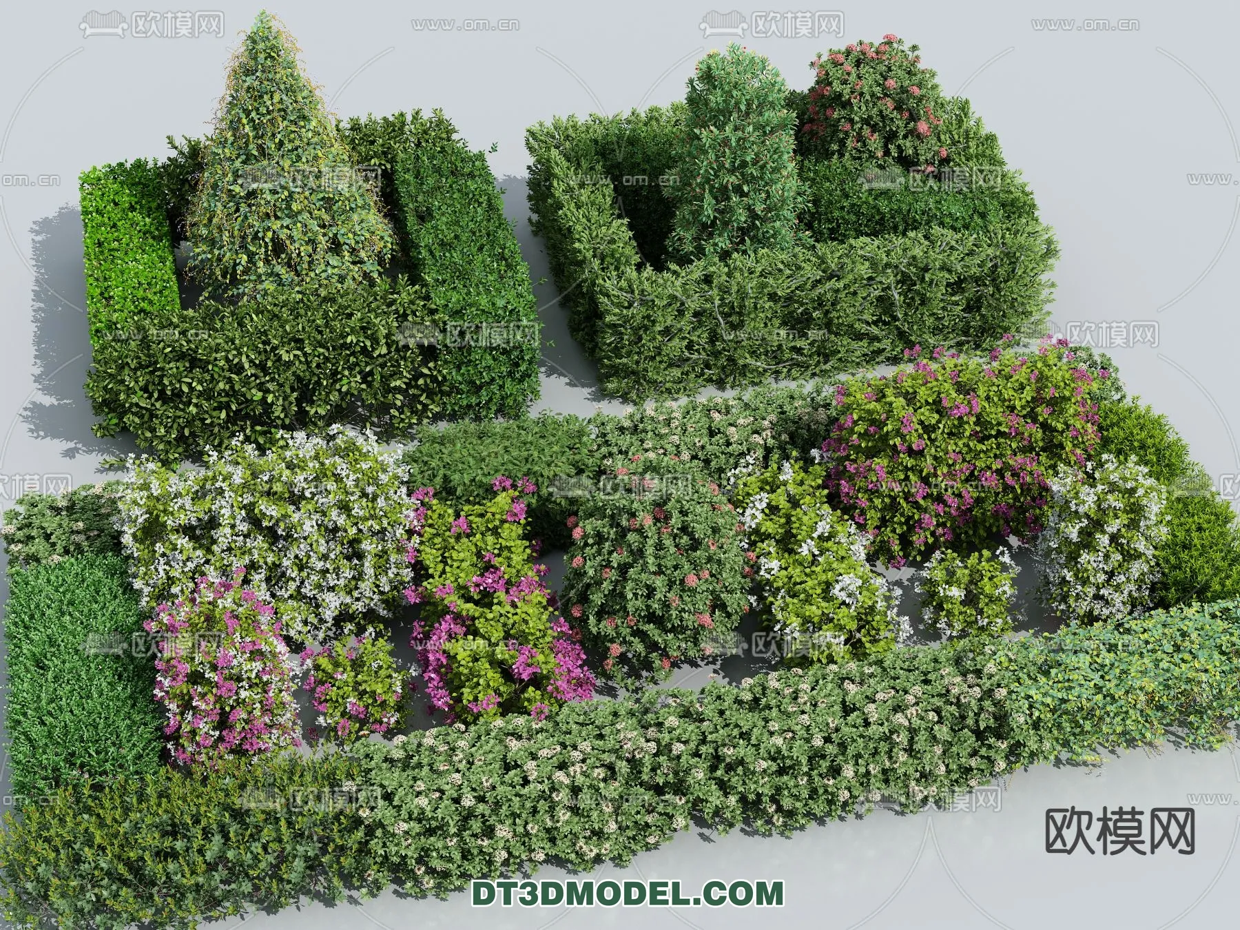 PLANTS - BUSH - VRAY / CORONA - 3D MODEL - 360