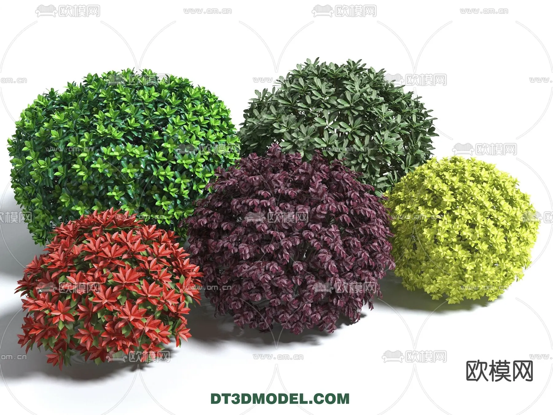 PLANTS - BUSH - VRAY / CORONA - 3D MODEL - 364
