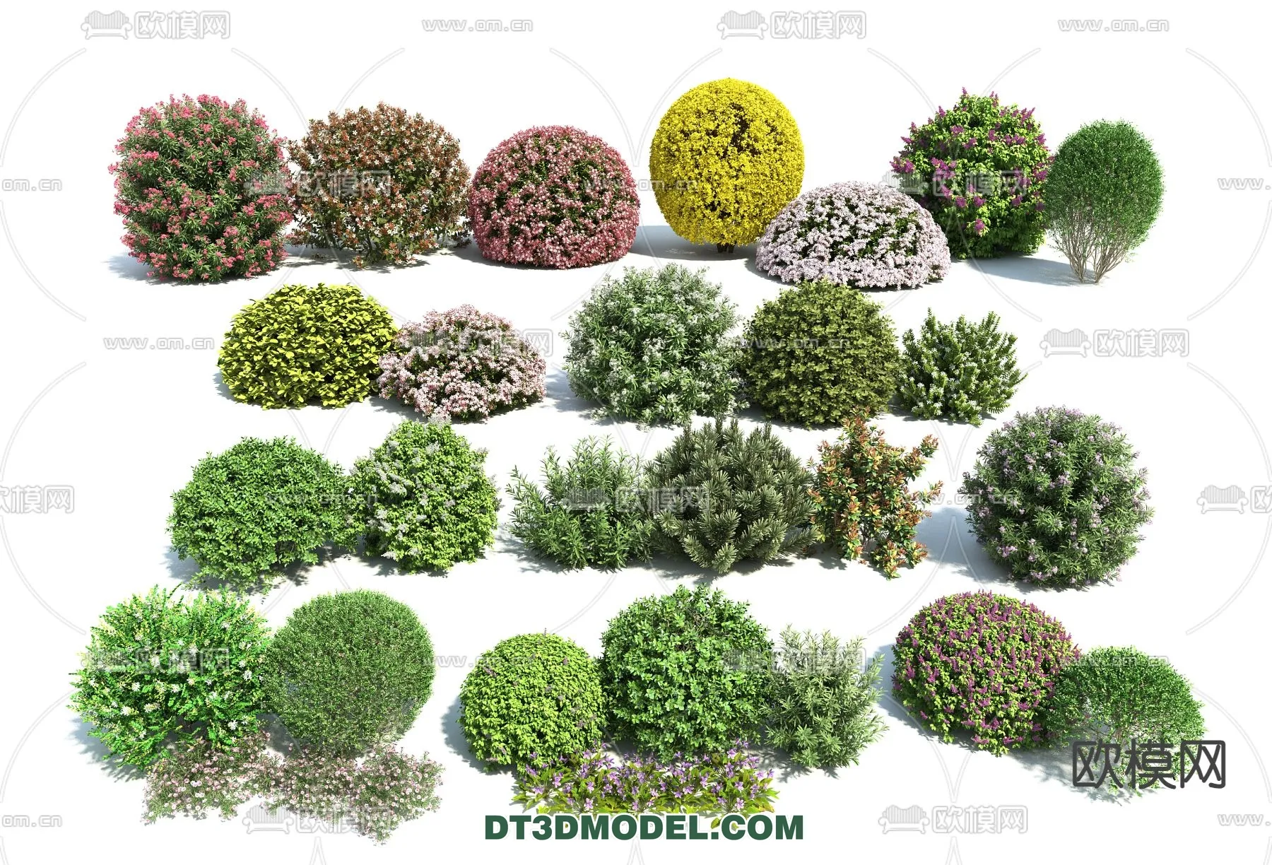 PLANTS - BUSH - VRAY / CORONA - 3D MODEL - 367