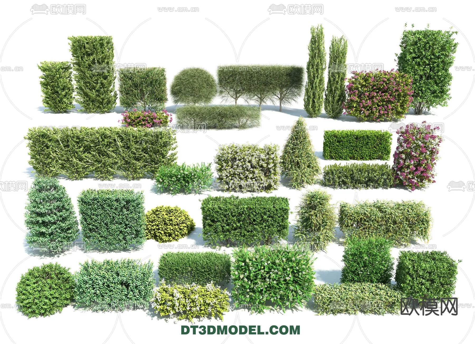 PLANTS - BUSH - VRAY / CORONA - 3D MODEL - 368