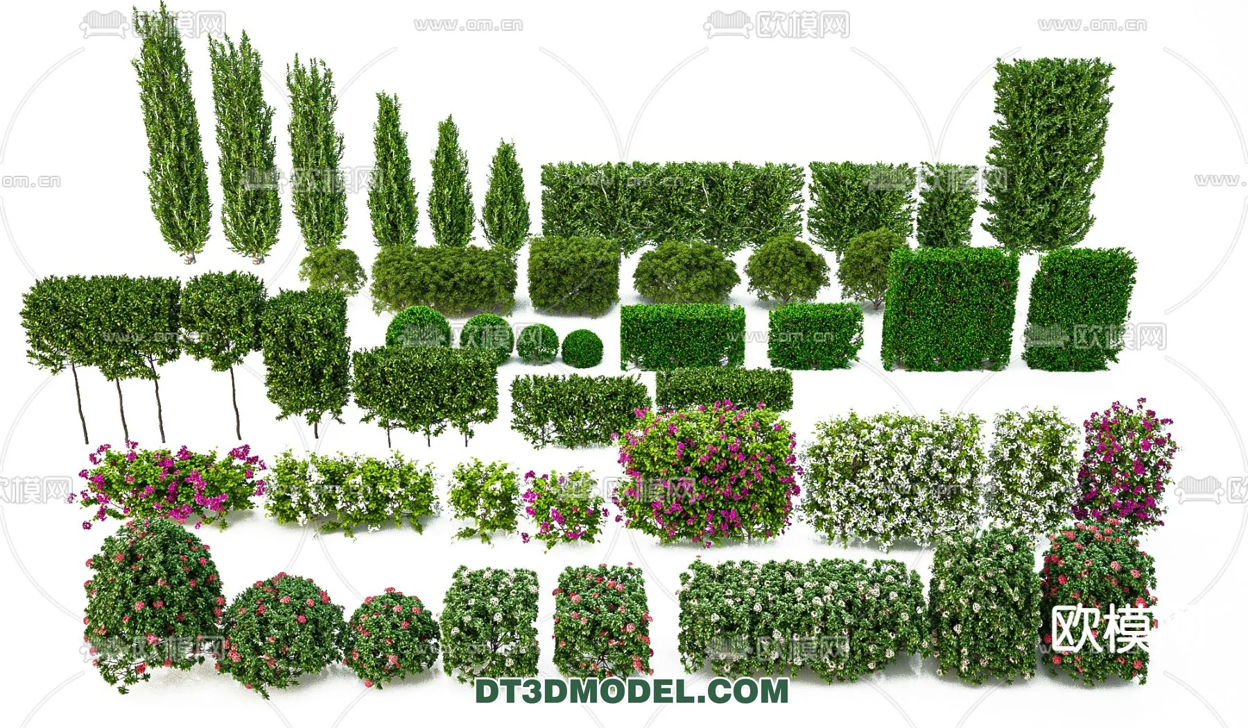 PLANTS - BUSH - VRAY / CORONA - 3D MODEL - 369