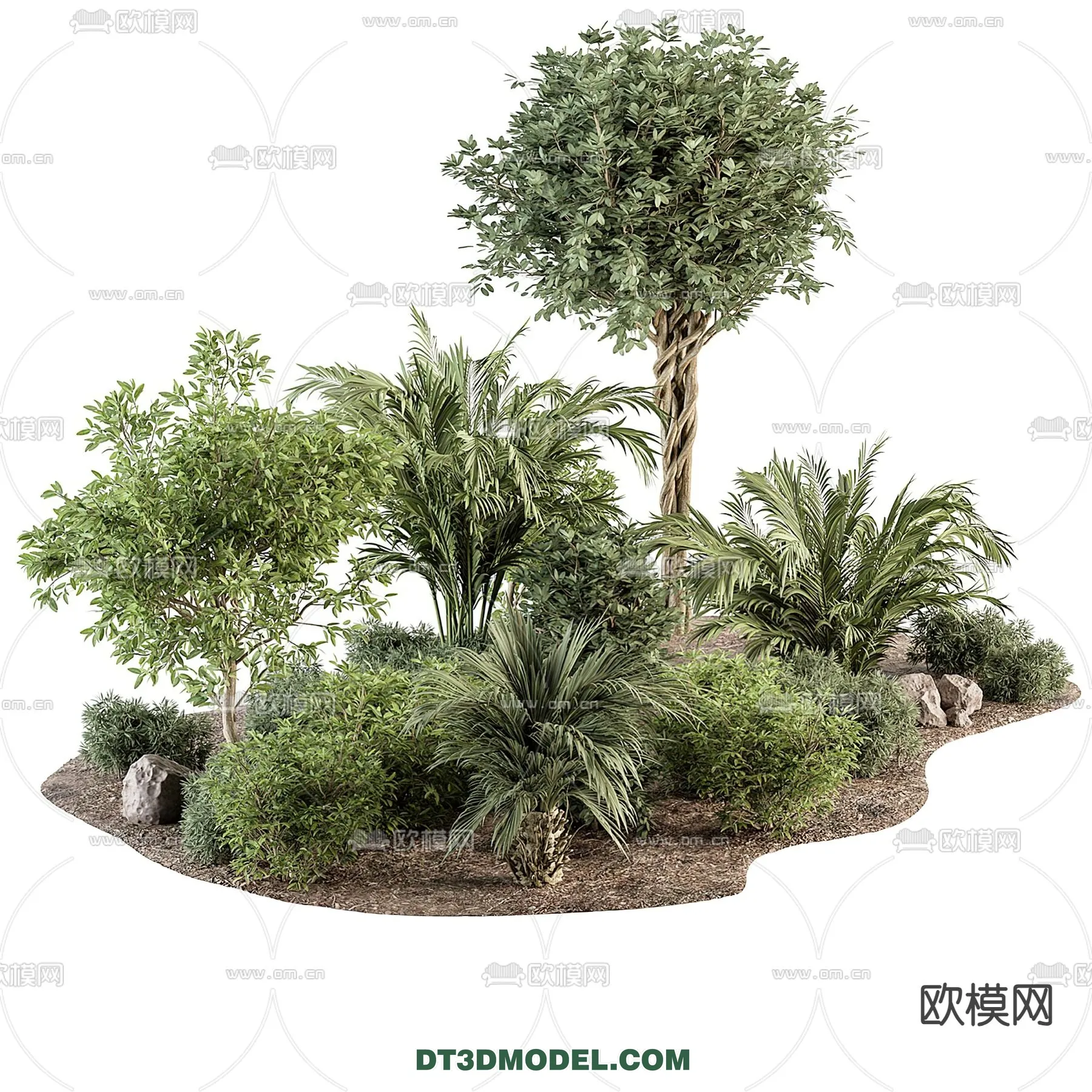 PLANTS - BUSH - VRAY / CORONA - 3D MODEL - 374
