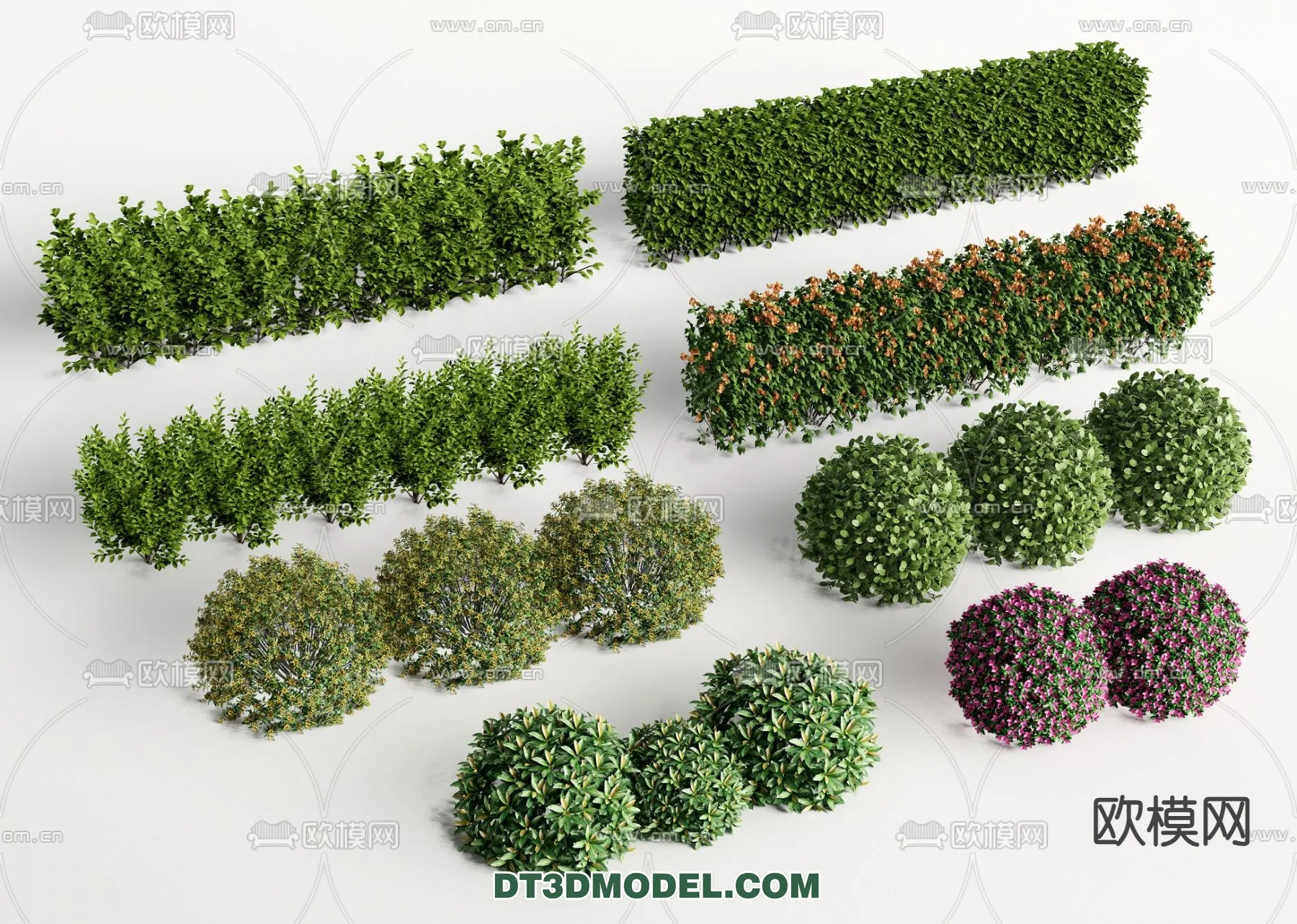 PLANTS - BUSH - VRAY / CORONA - 3D MODEL - 375