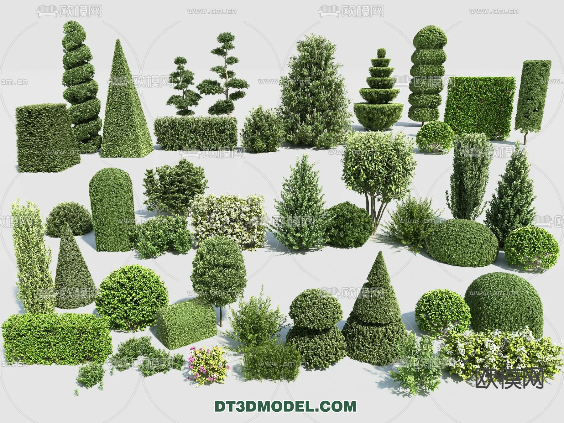 PLANTS - BUSH - VRAY / CORONA - 3D MODEL - 380