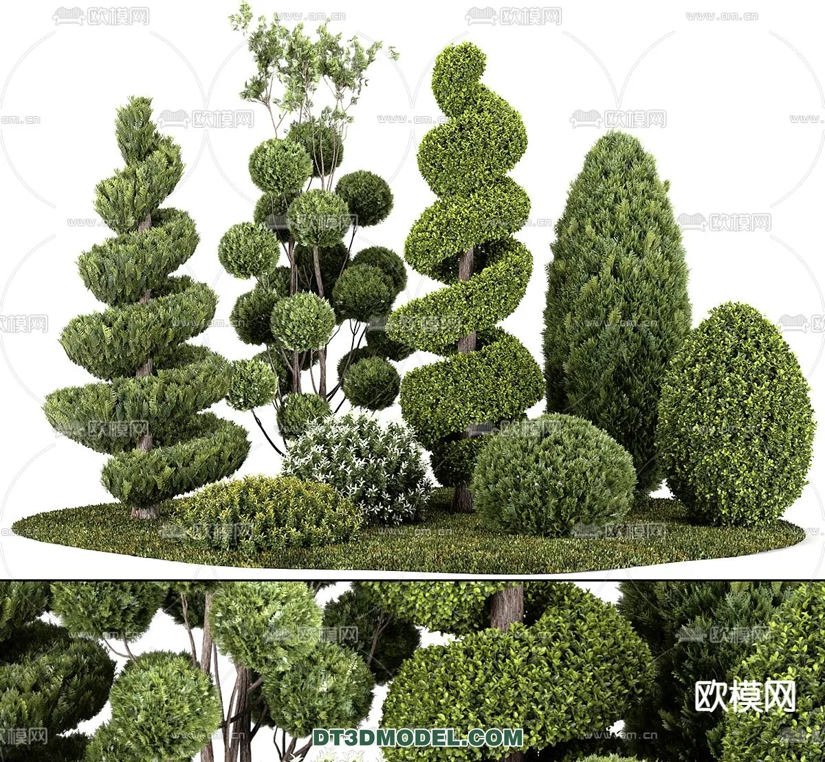 PLANTS - BUSH - VRAY / CORONA - 3D MODEL - 382